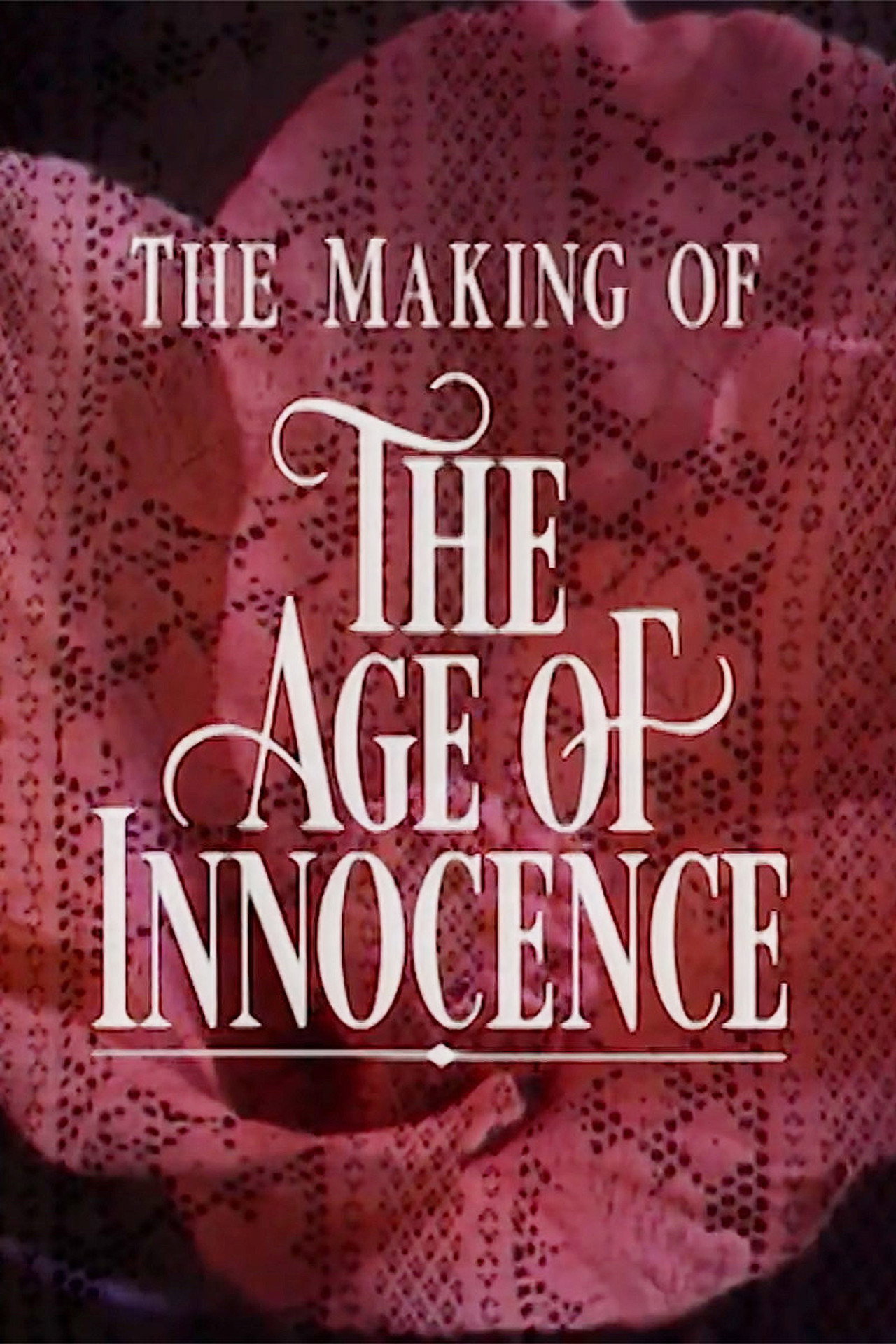 Pôster de Innocence and Experience: The Making of 'The Age of Innocence'