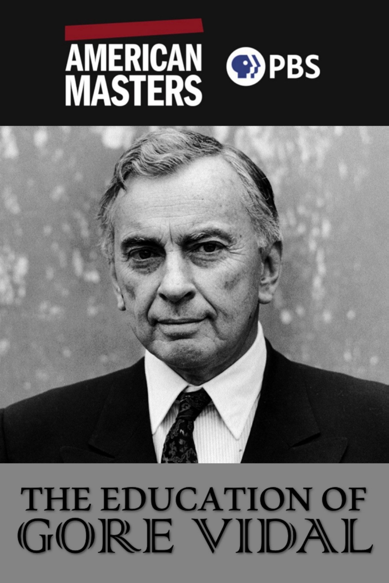 Pôster de The Education of Gore Vidal