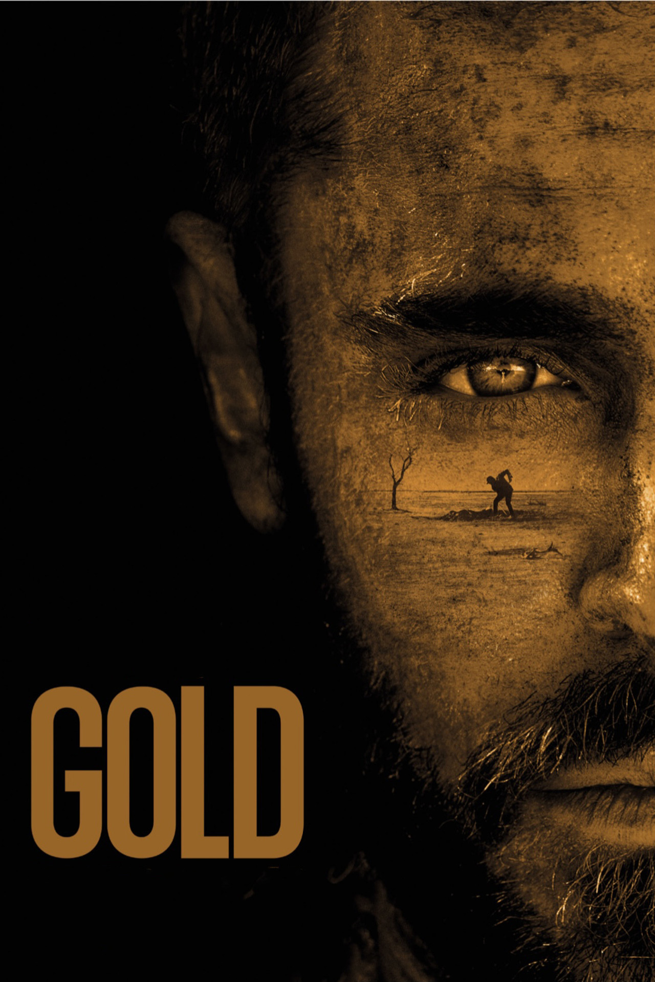 Pôster de Gold