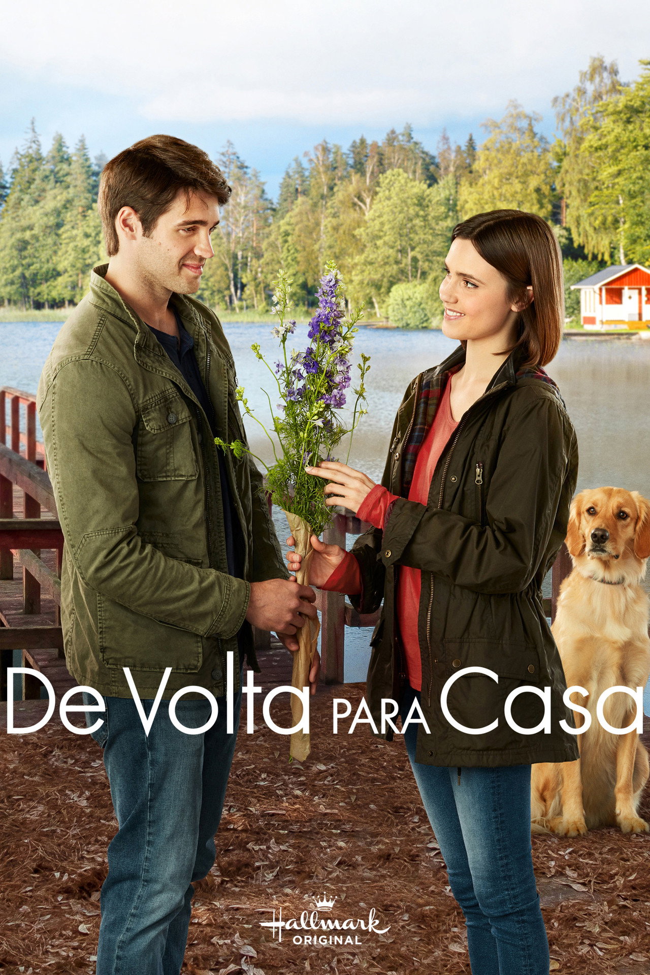 Pôster de De Volta para Casa