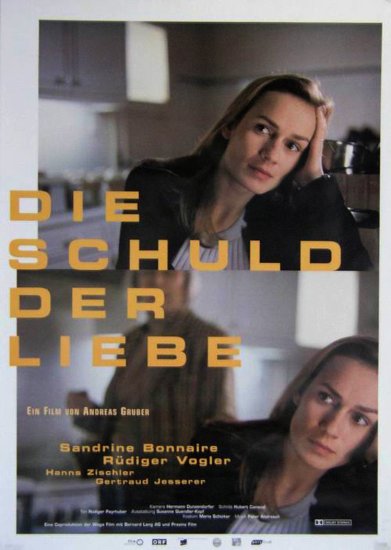Pôster de Die Schuld der Liebe