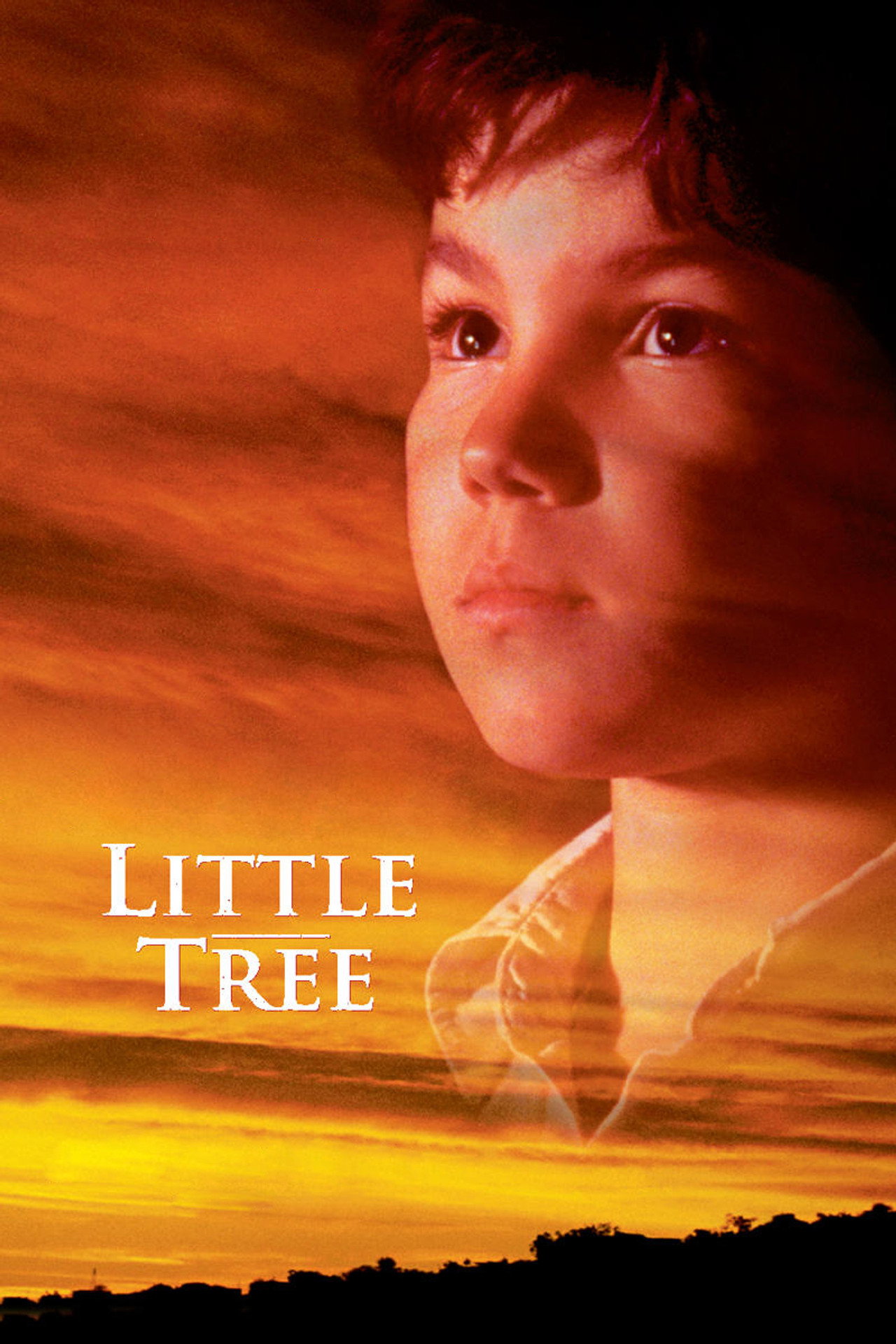 Pôster de The Education of Little Tree