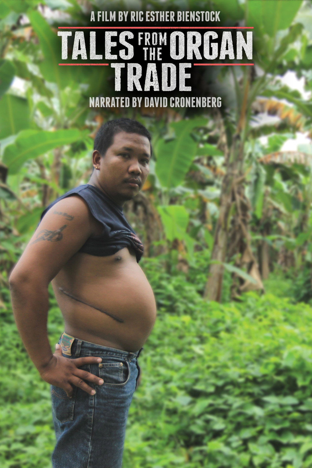 Pôster de Tales from the Organ Trade