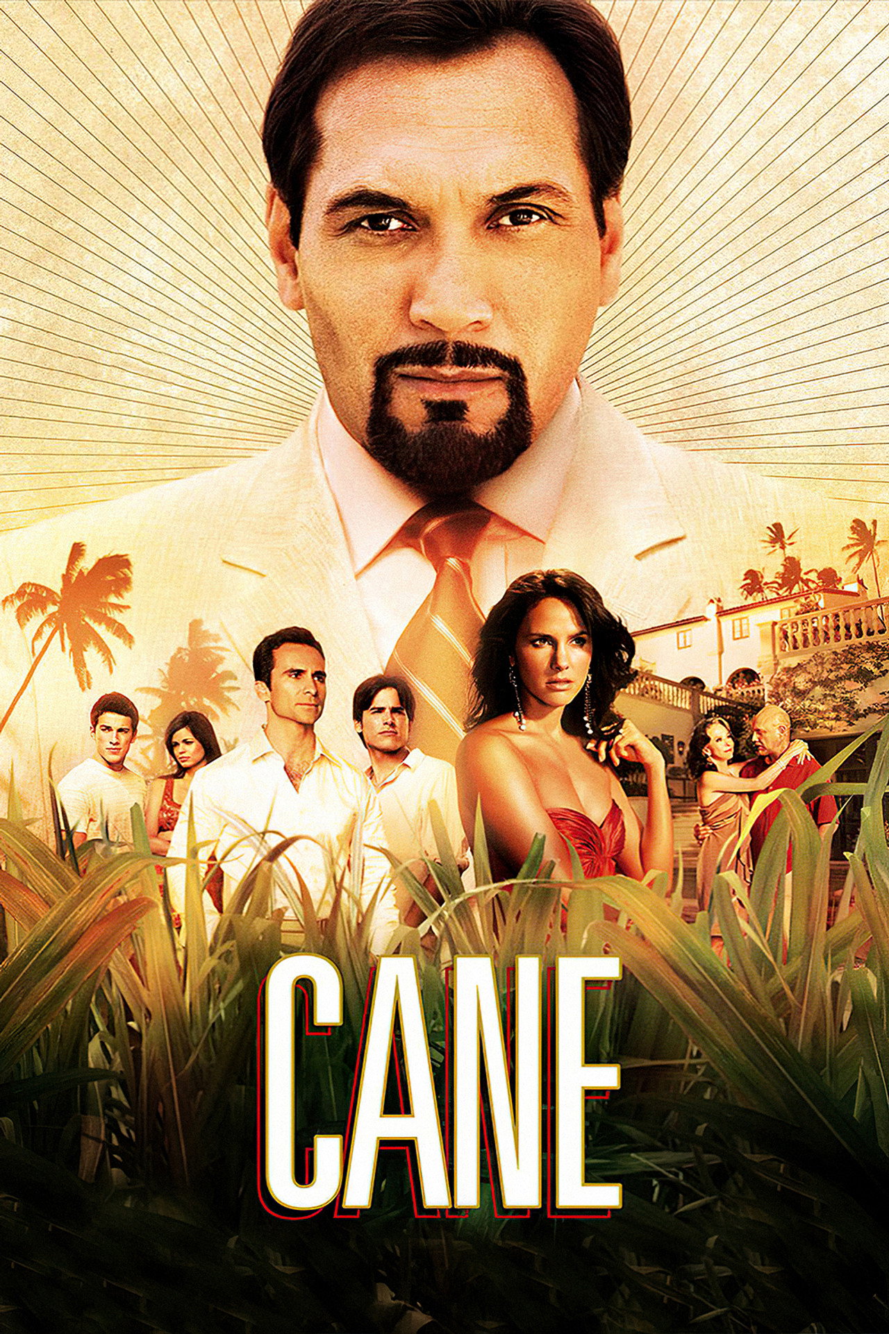 Pôster de Cane