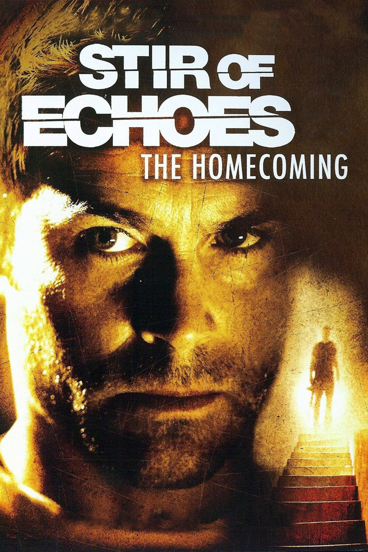 Pôster de Stir of Echoes: The Homecoming
