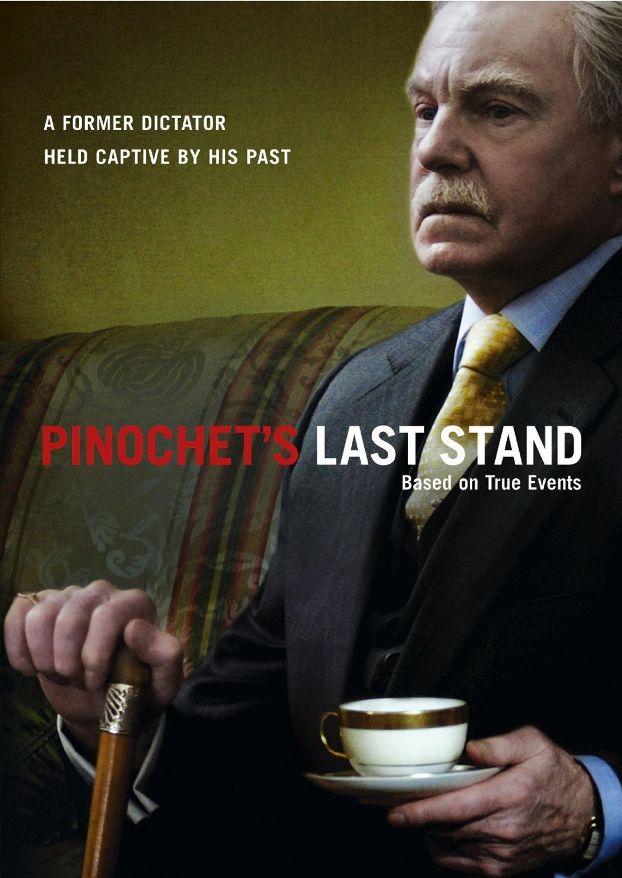 Pôster de Pinochet in Suburbia
