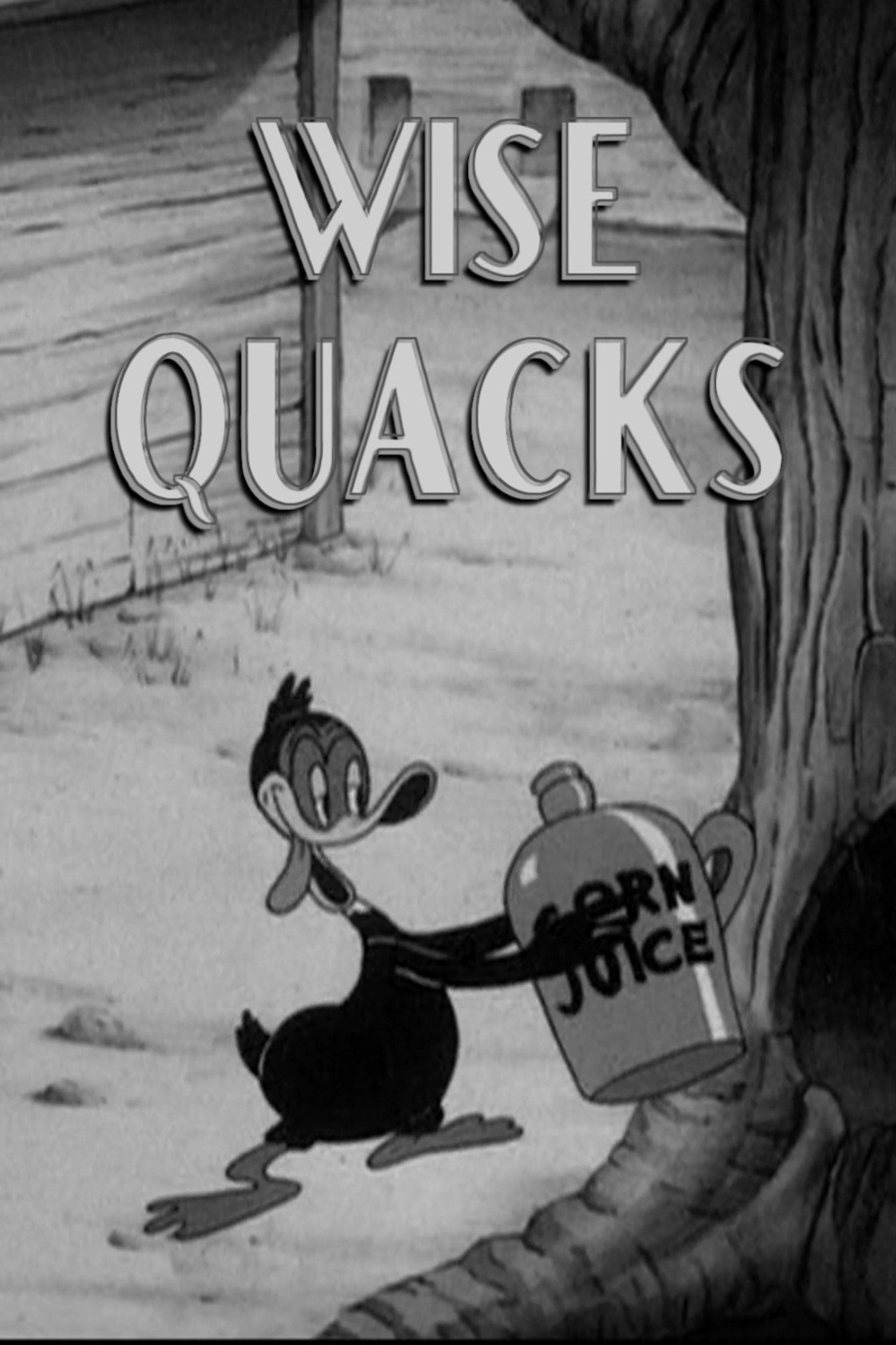 Pôster de Wise Quacks