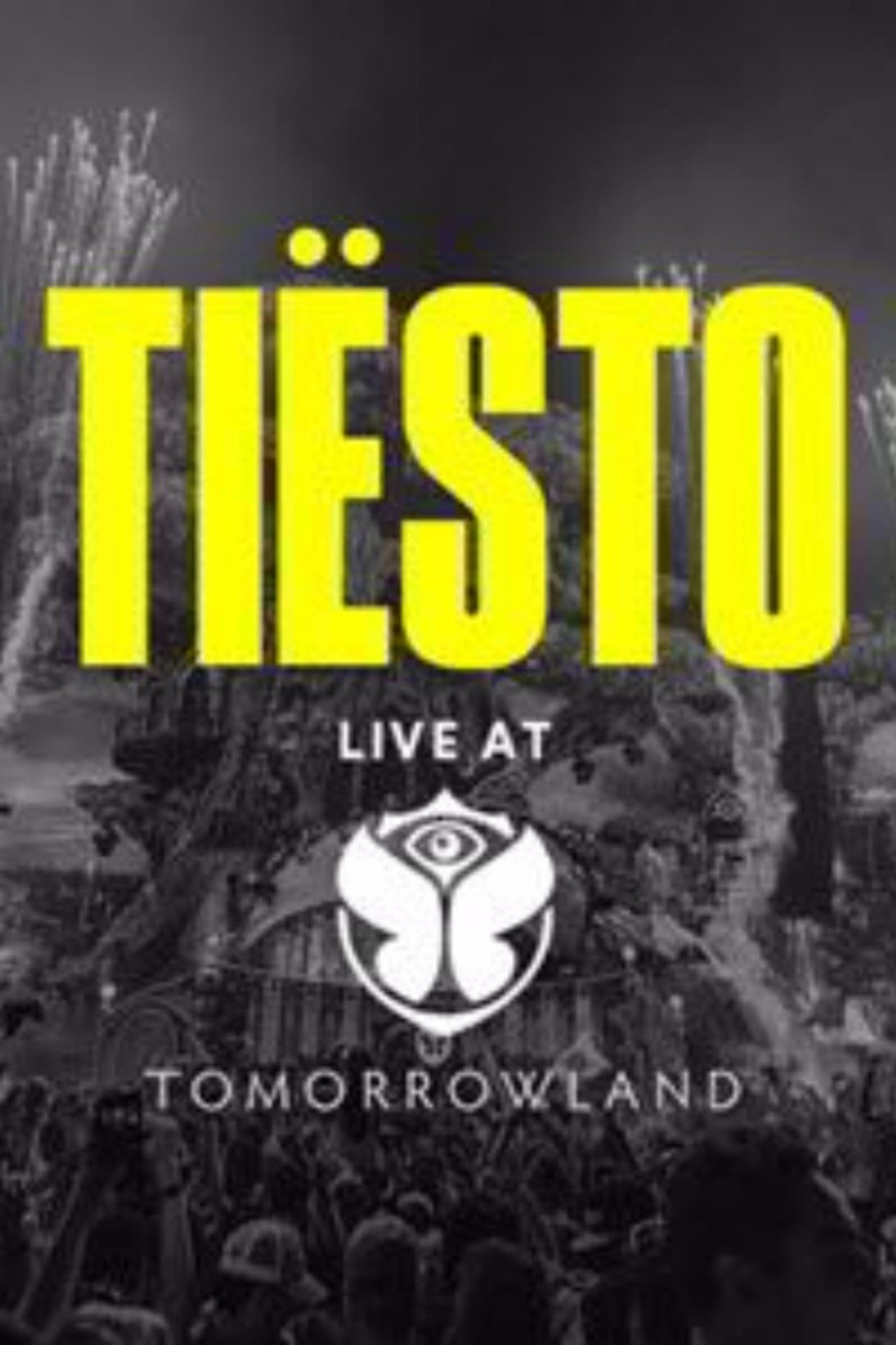 Pôster de Tiësto: Live at Tomorrowland in Belgium