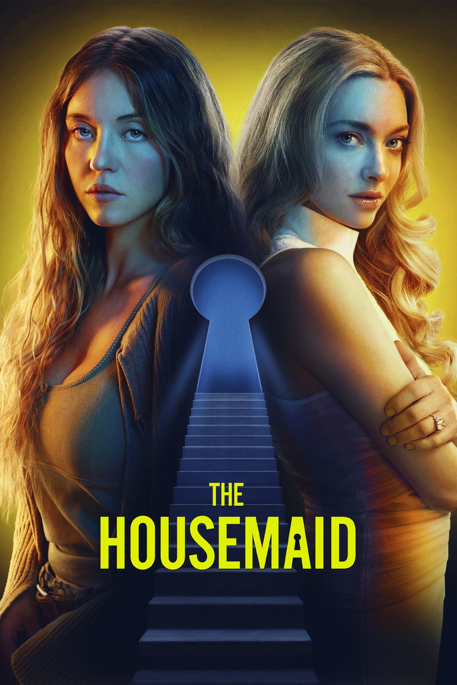 Pôster de The Housemaid