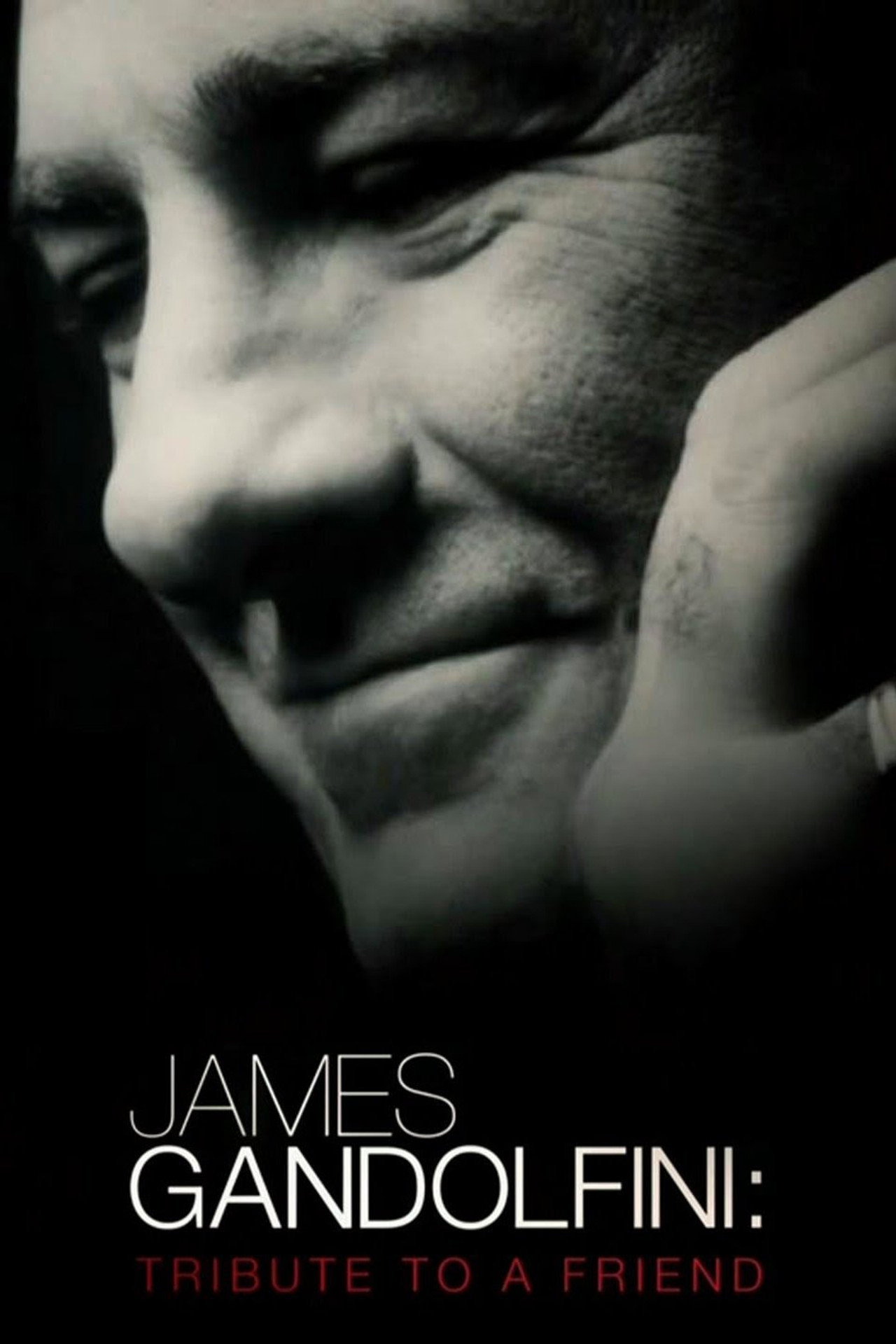 Pôster de James Gandolfini: Tribute to a Friend