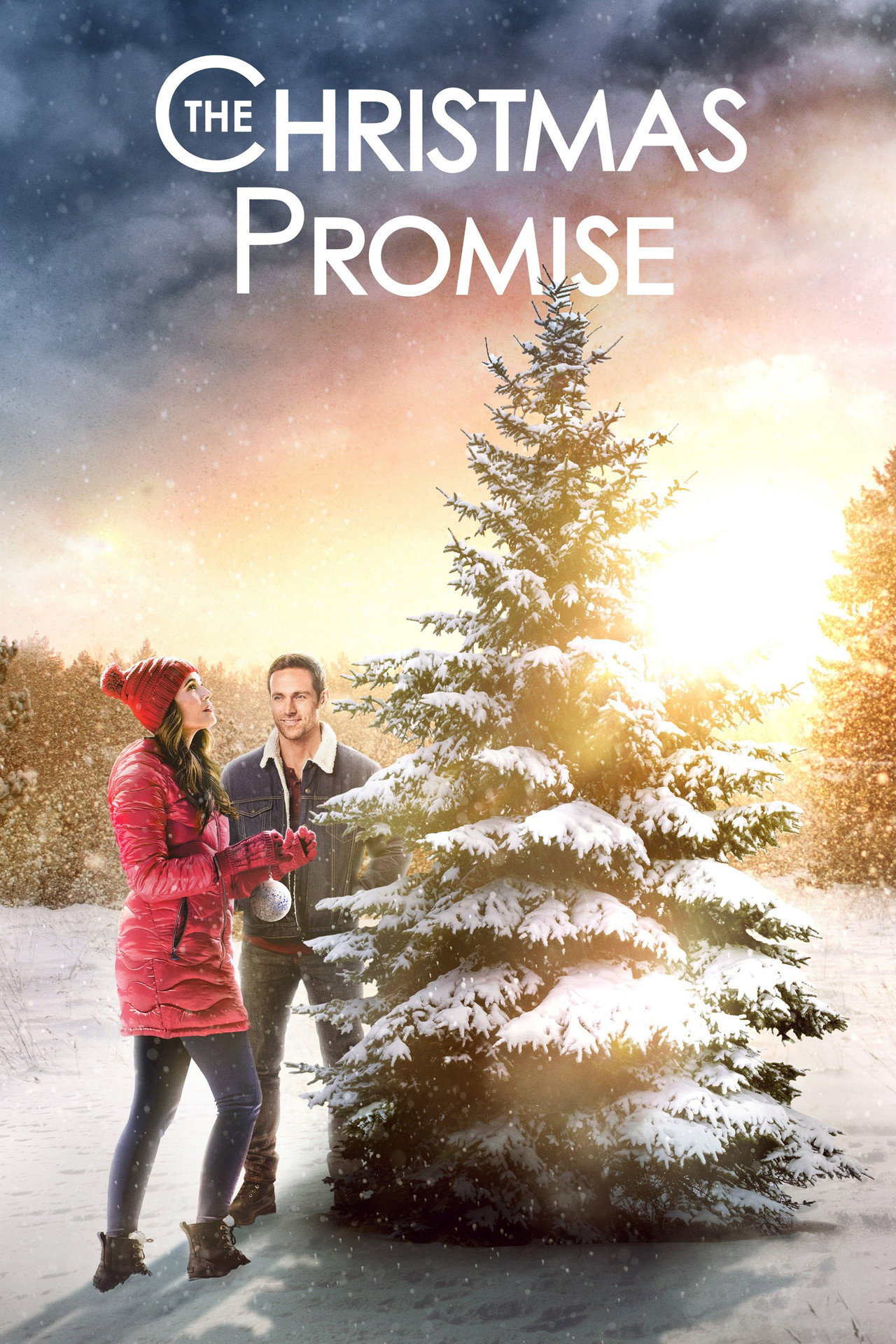 Pôster de The Christmas Promise