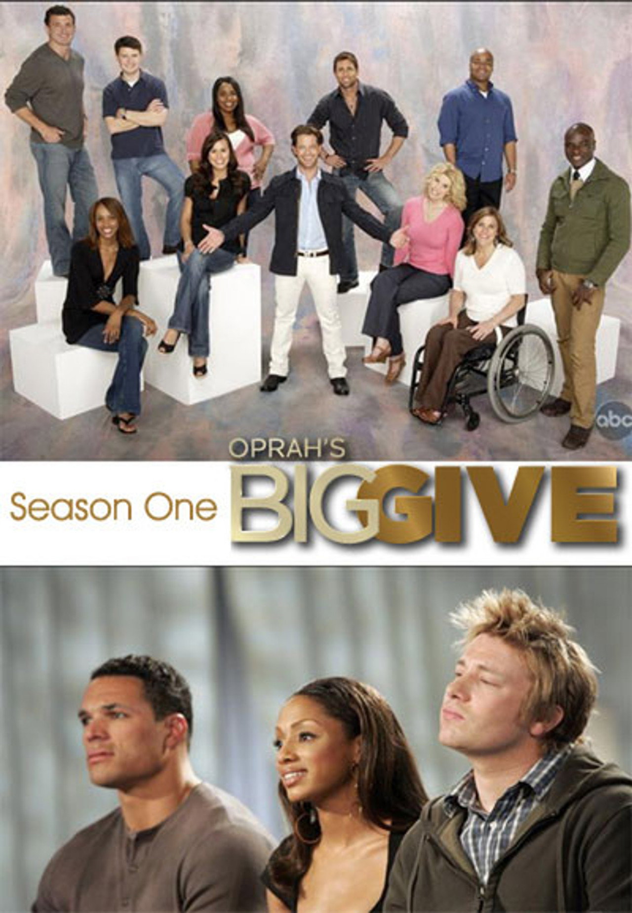 Pôster de Oprah's Big Give