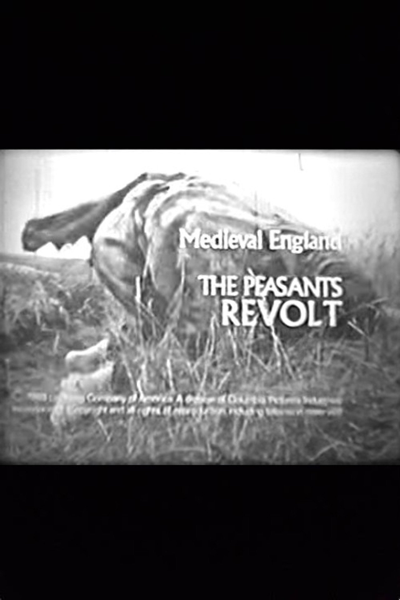 Pôster de Medieval England: The Peasants' Revolt