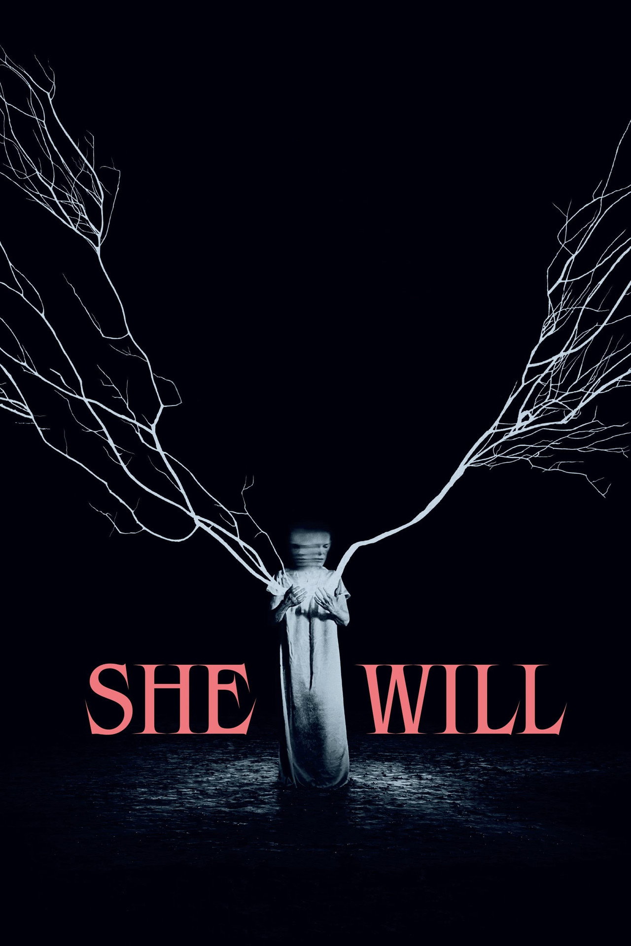Pôster de She Will