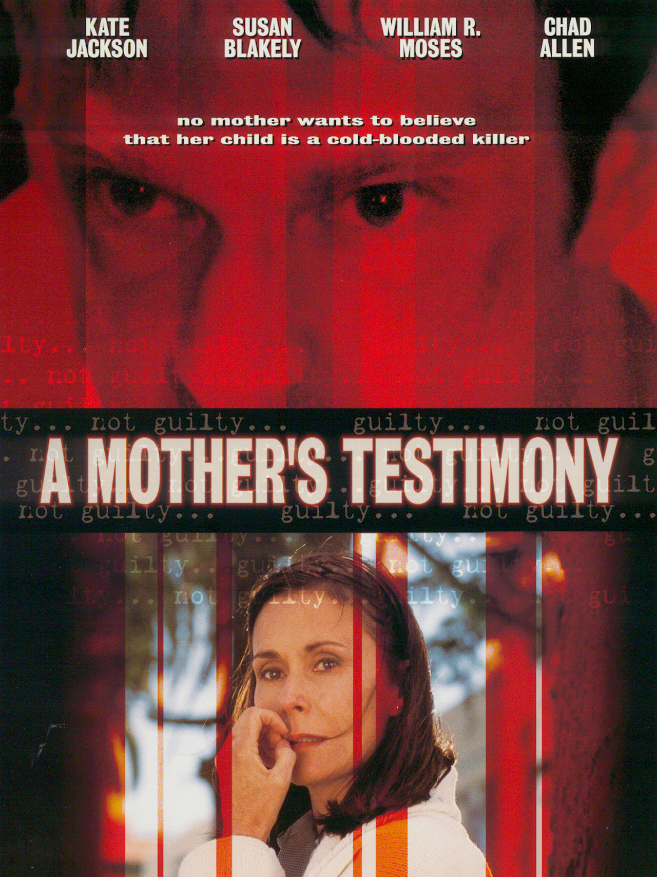 Pôster de A Mother's Testimony