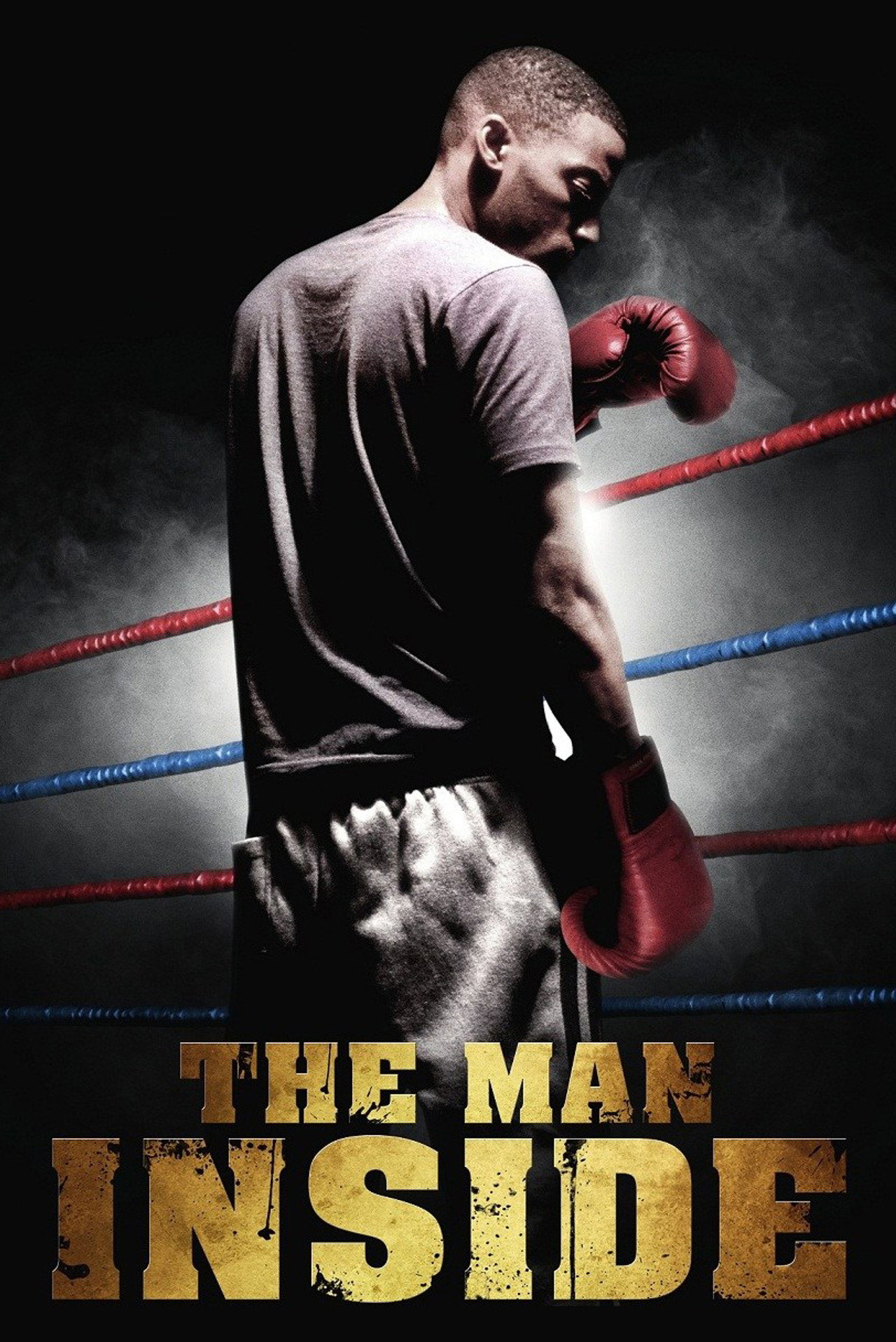 Pôster de The Man Inside