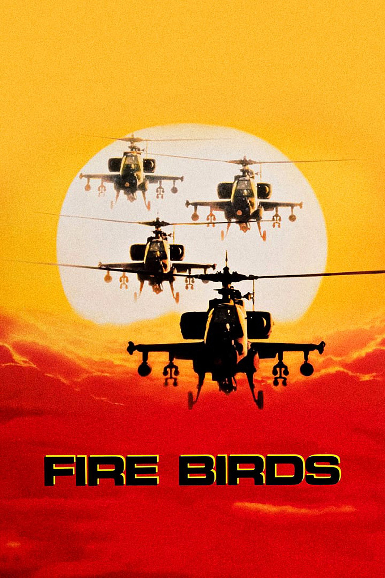 Pôster de Fire Birds