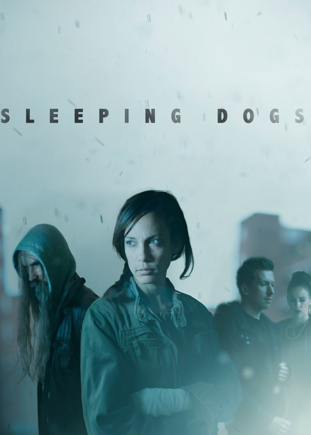 Pôster de Sleeping Dogs