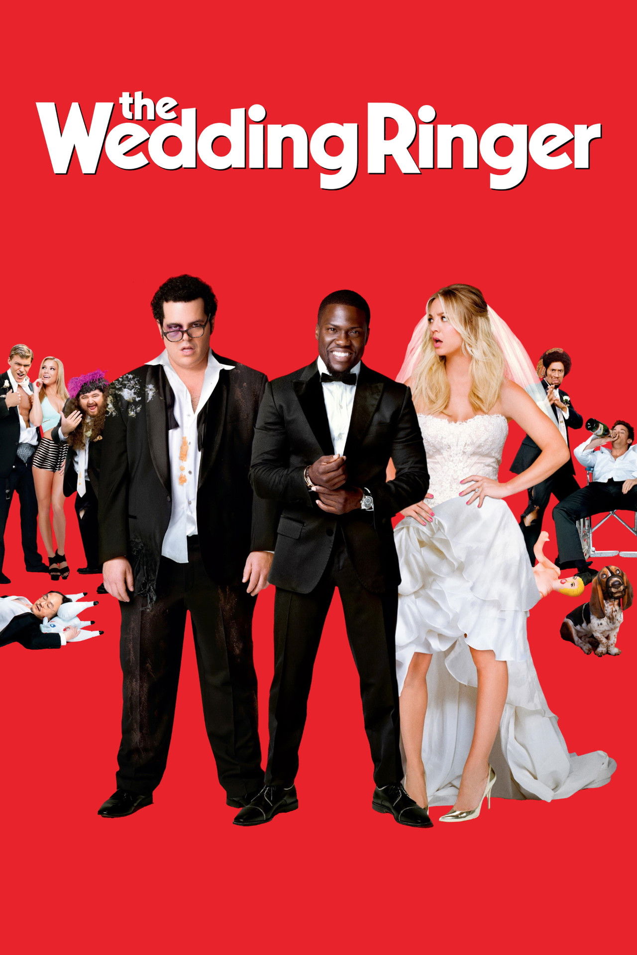 Pôster de The Wedding Ringer
