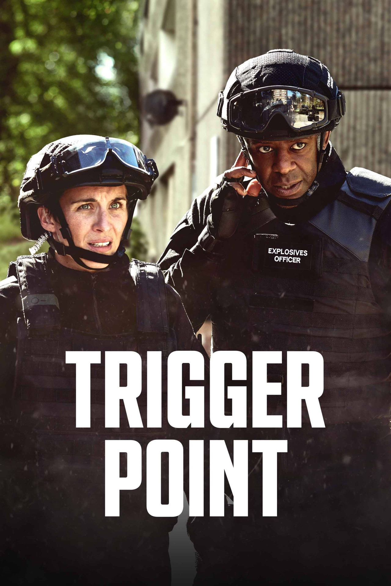 Pôster de Trigger Point
