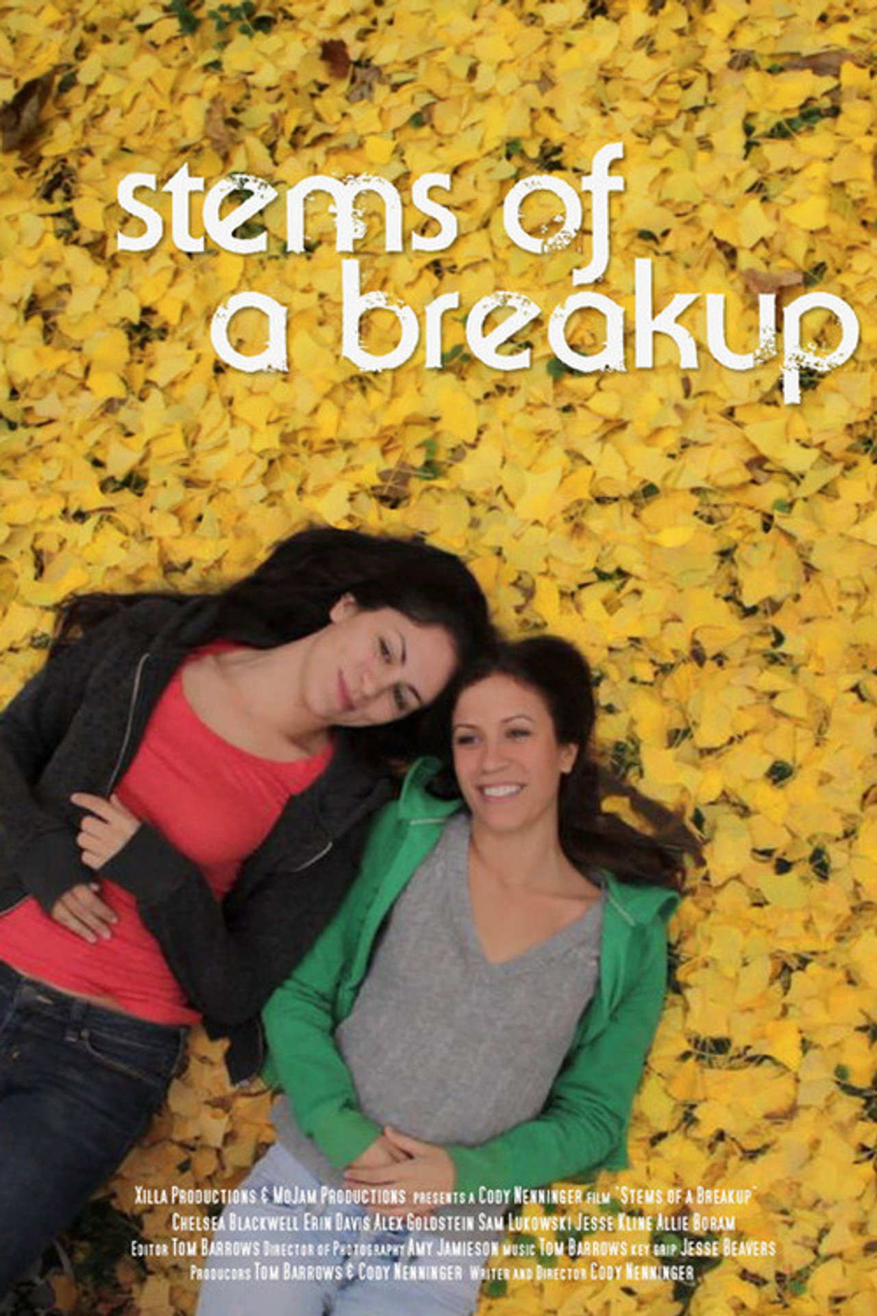 Pôster de Stems of a Breakup