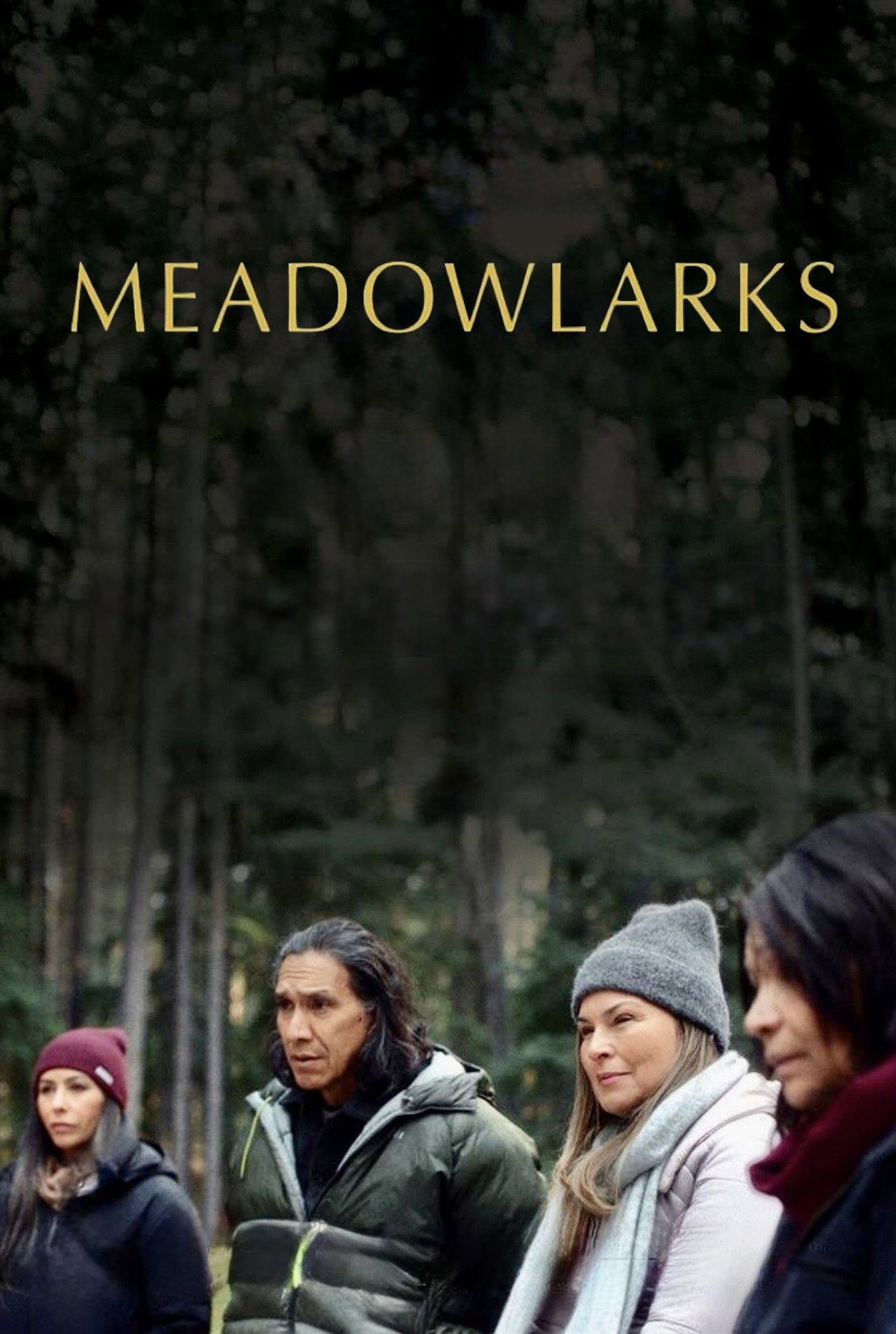 Pôster de Meadowlarks