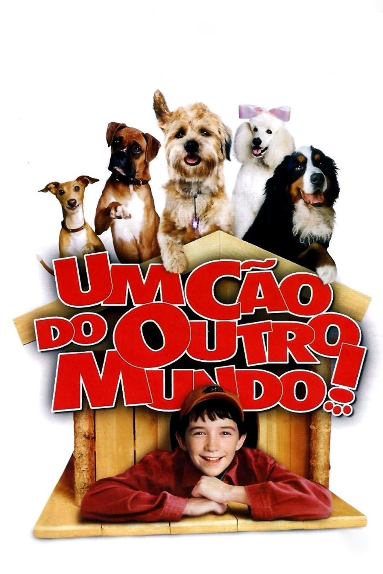 Pôster de Um Cão de Outro Mundo