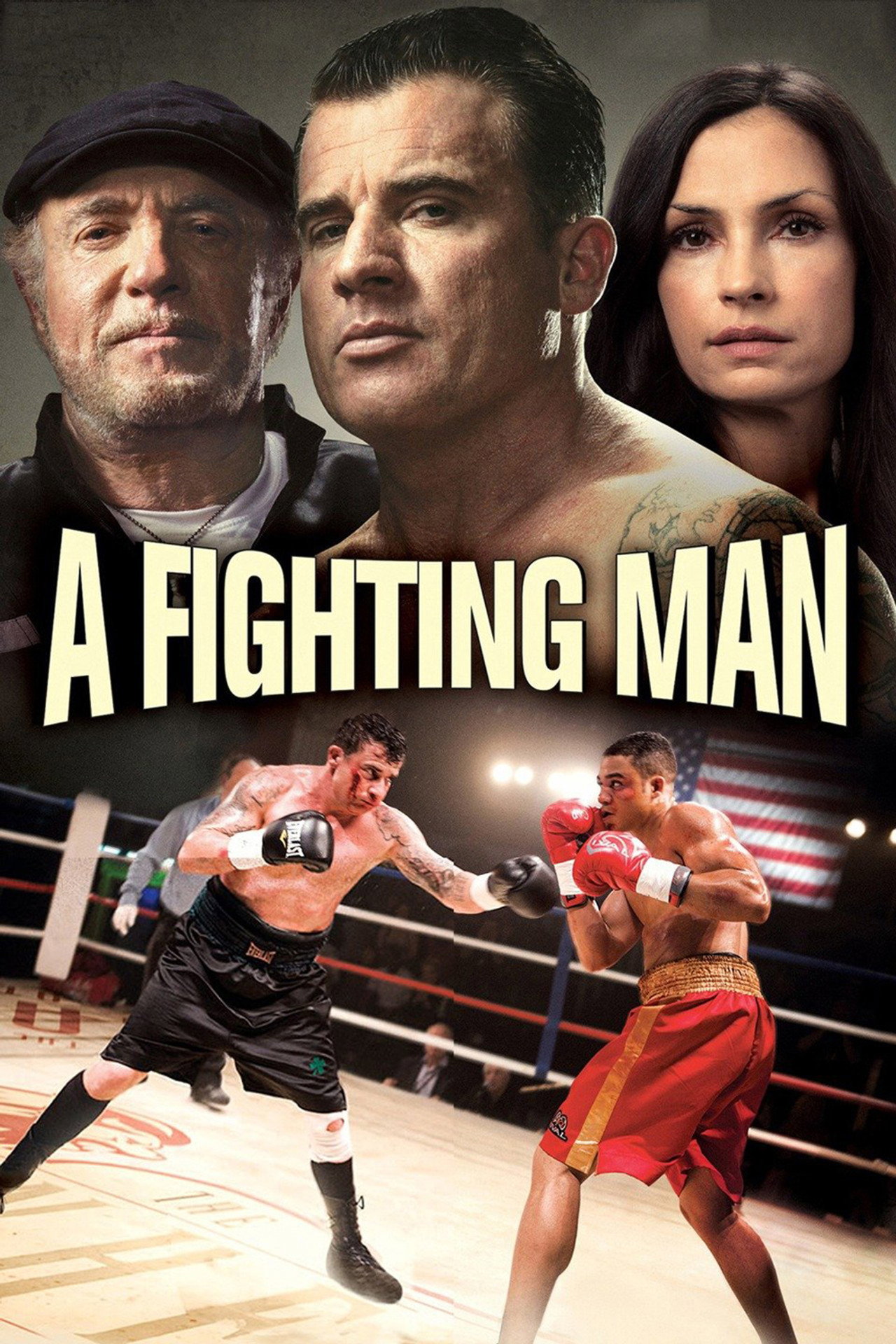 Pôster de A Fighting Man