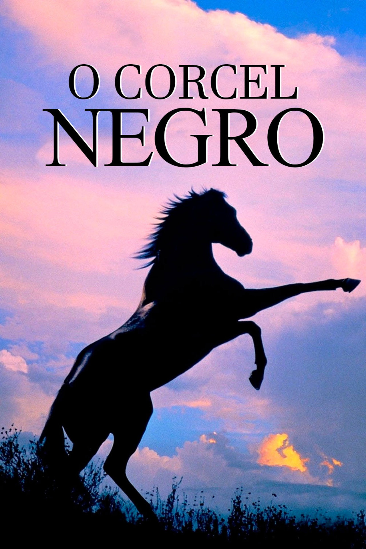 Pôster de O Corcel Negro