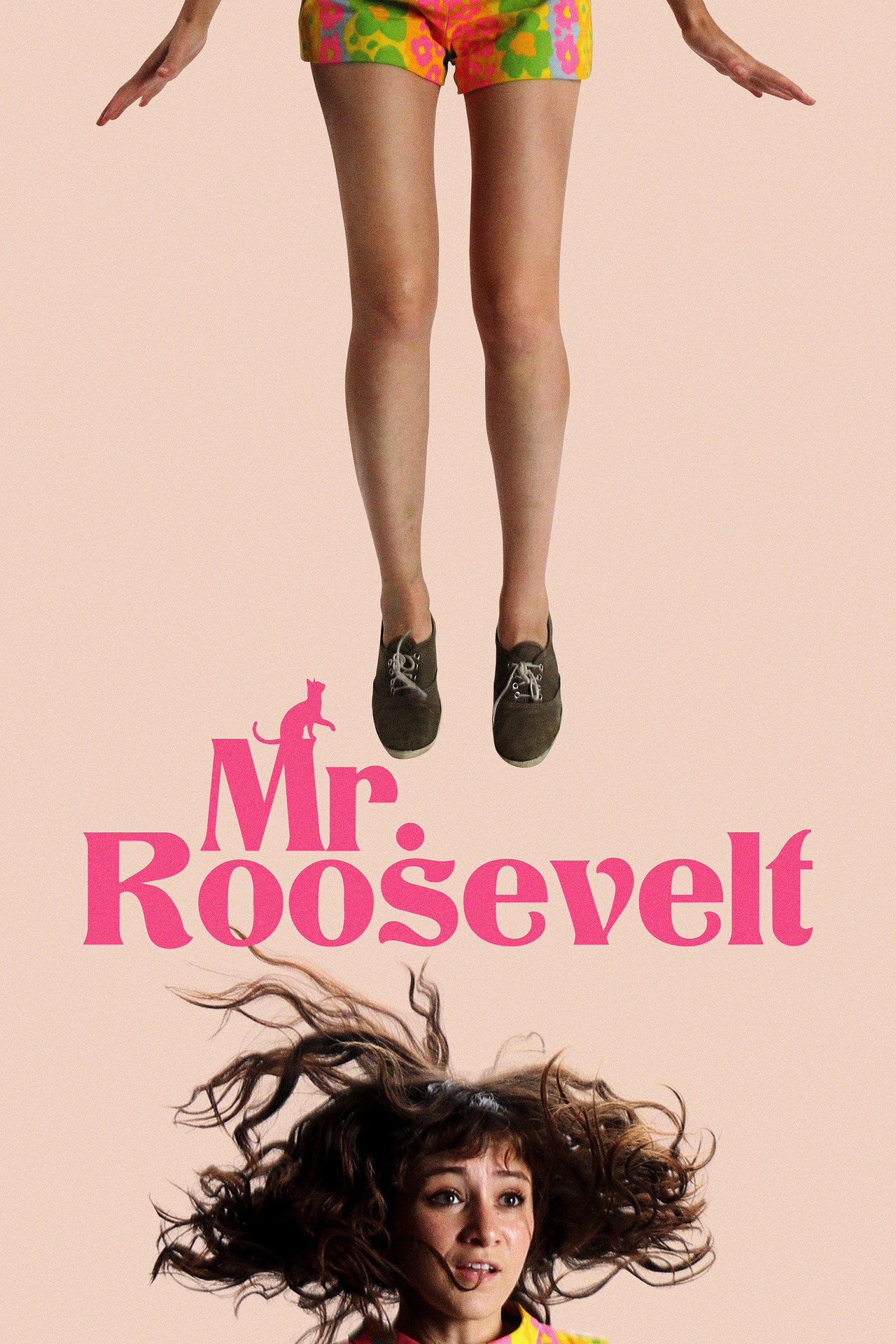 Pôster de Mr. Roosevelt