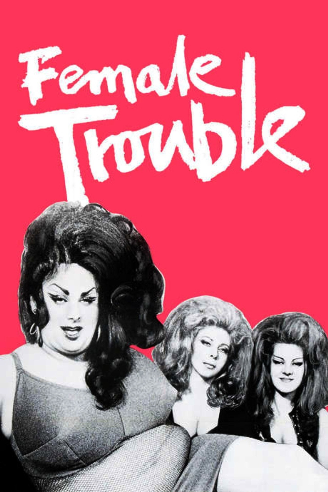 Pôster de Female Trouble