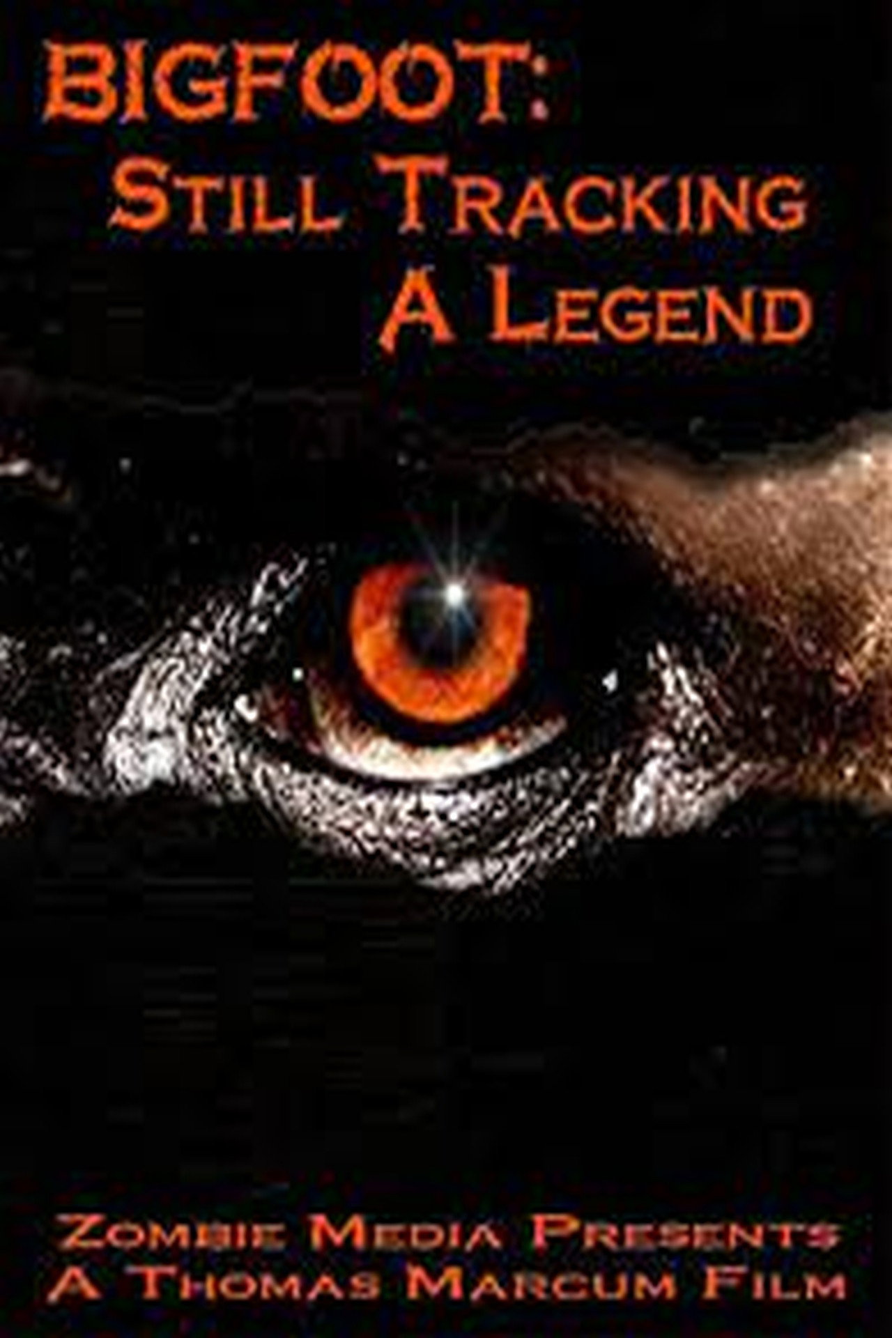 Pôster de Bigfoot  Still Tracking a Legend