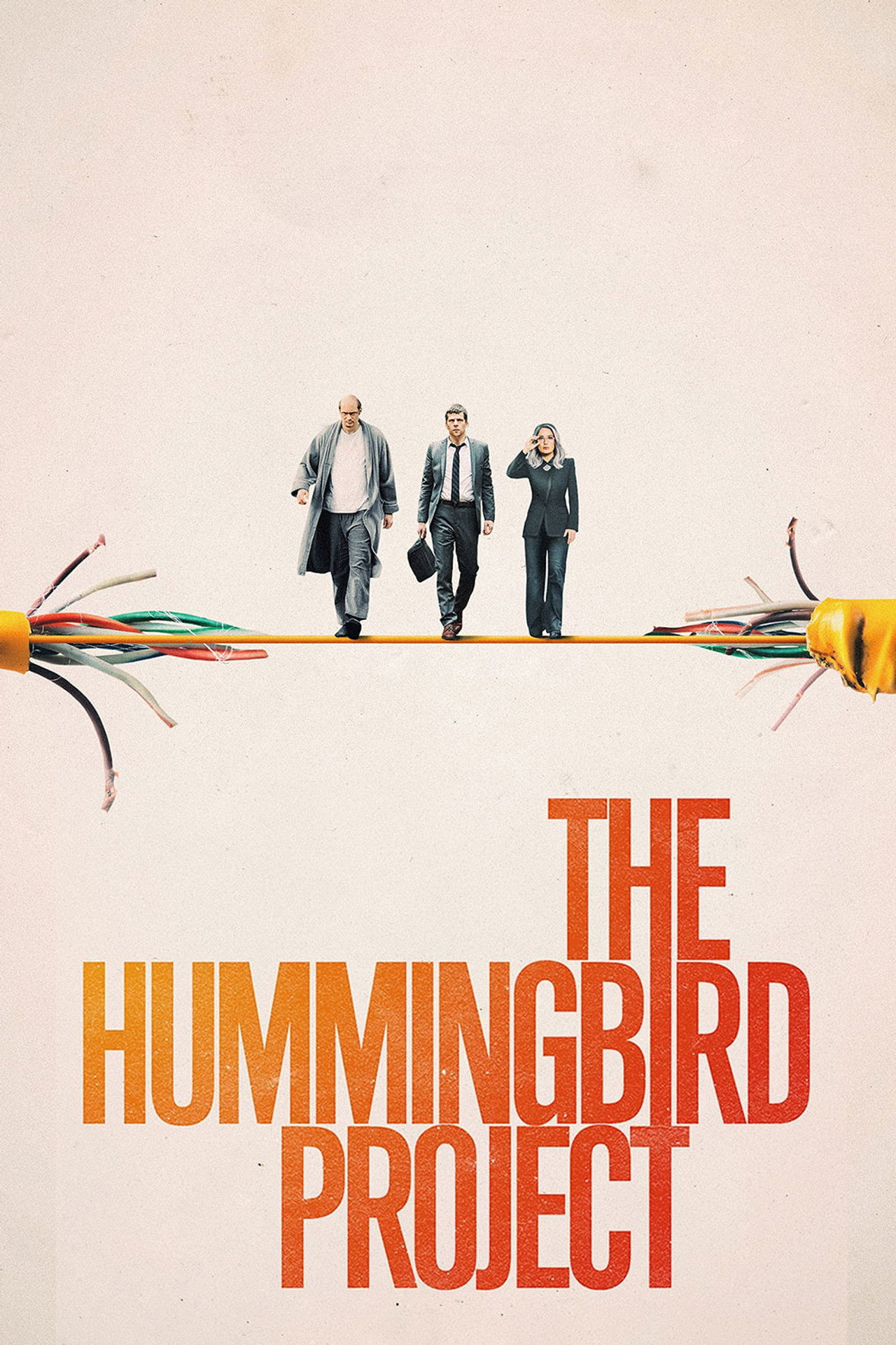 Pôster de The Hummingbird Project