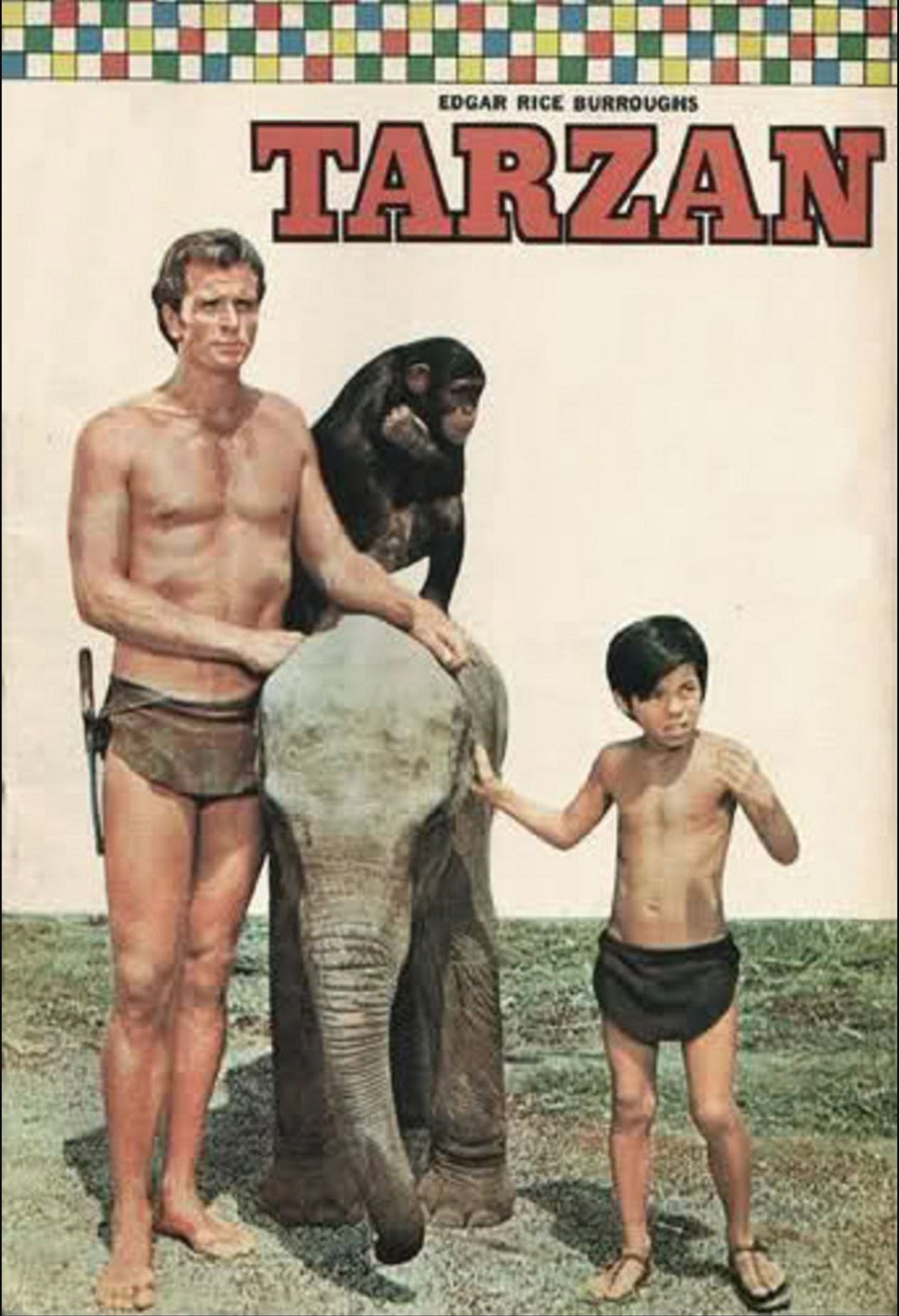 Pôster de Tarzan