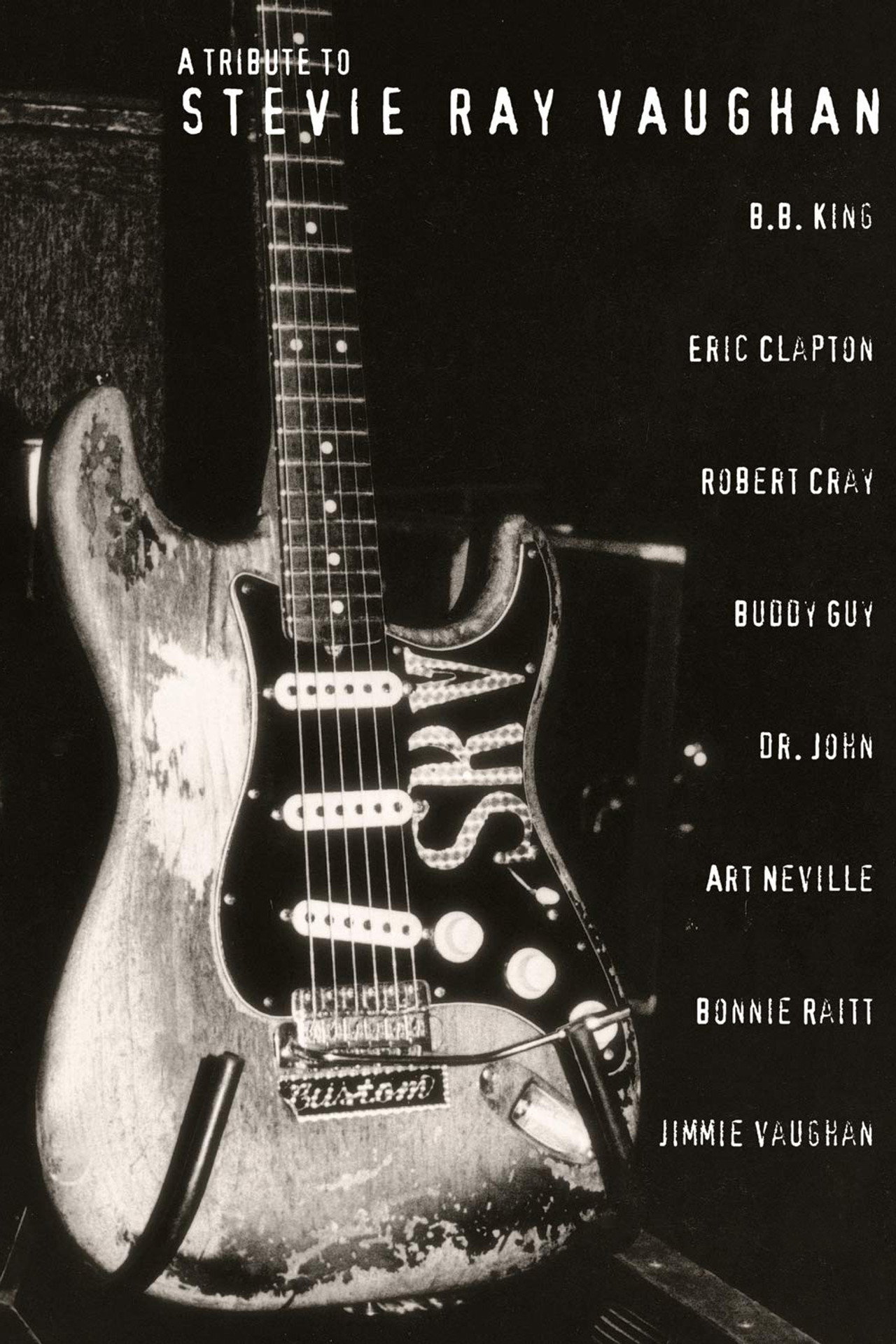 Pôster de A Tribute to Stevie Ray Vaughan