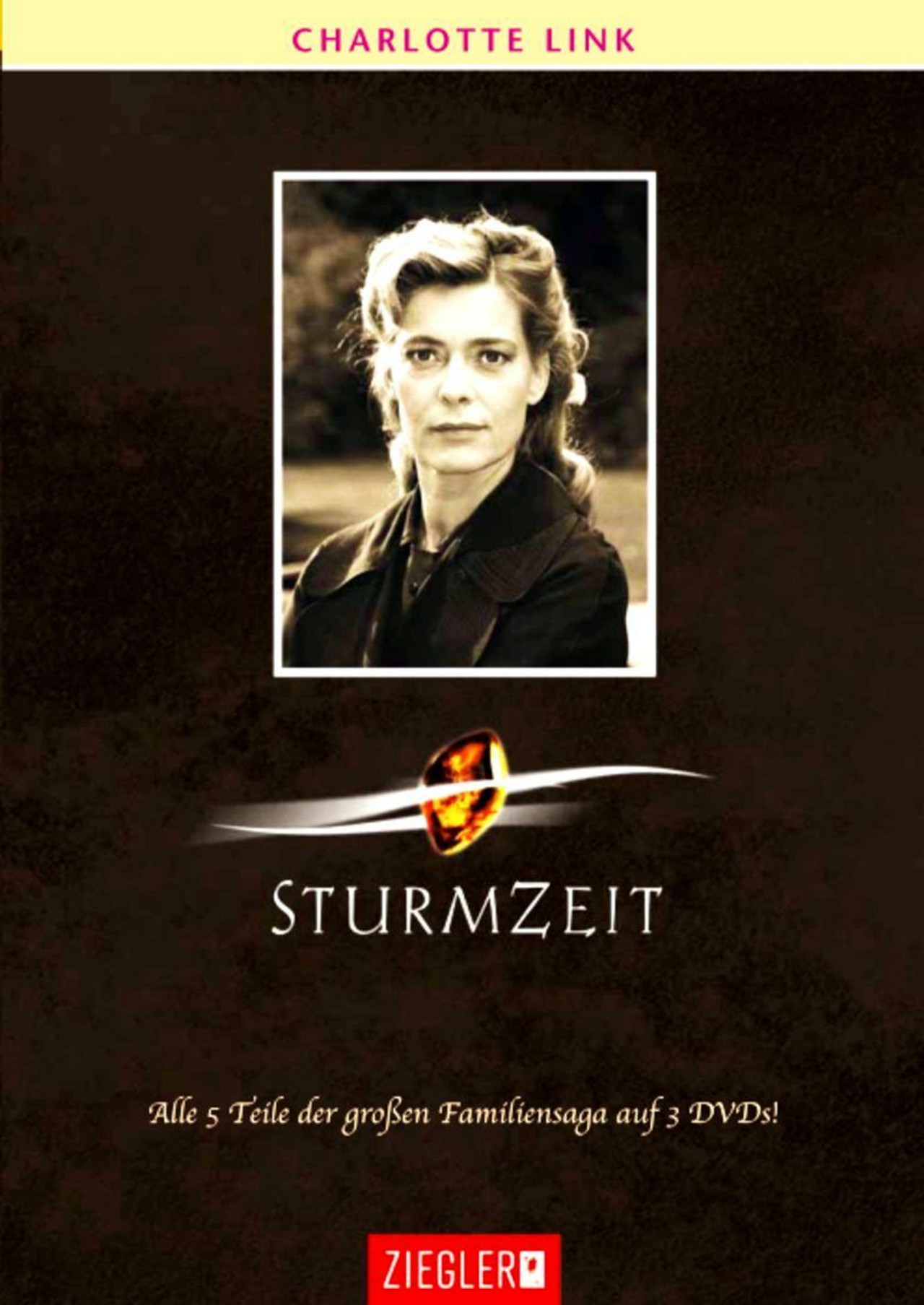 Pôster de Sturmzeit