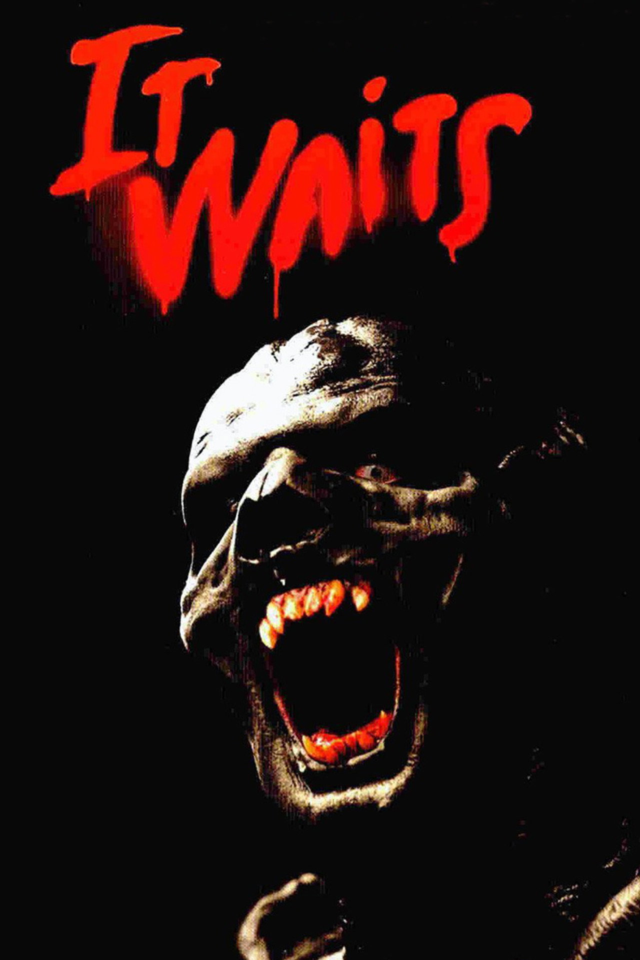 Pôster de It Waits