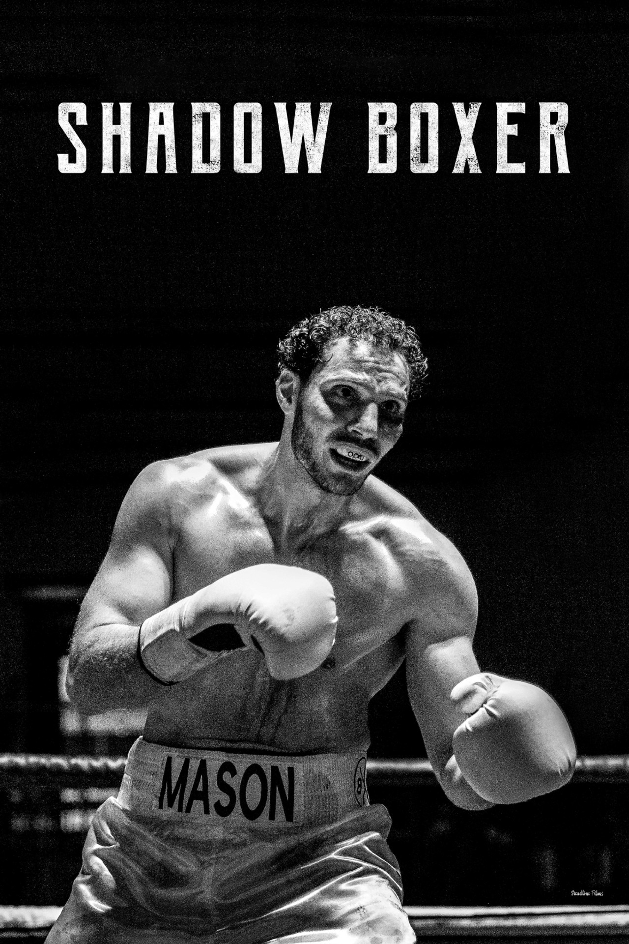Pôster de Shadow Boxer