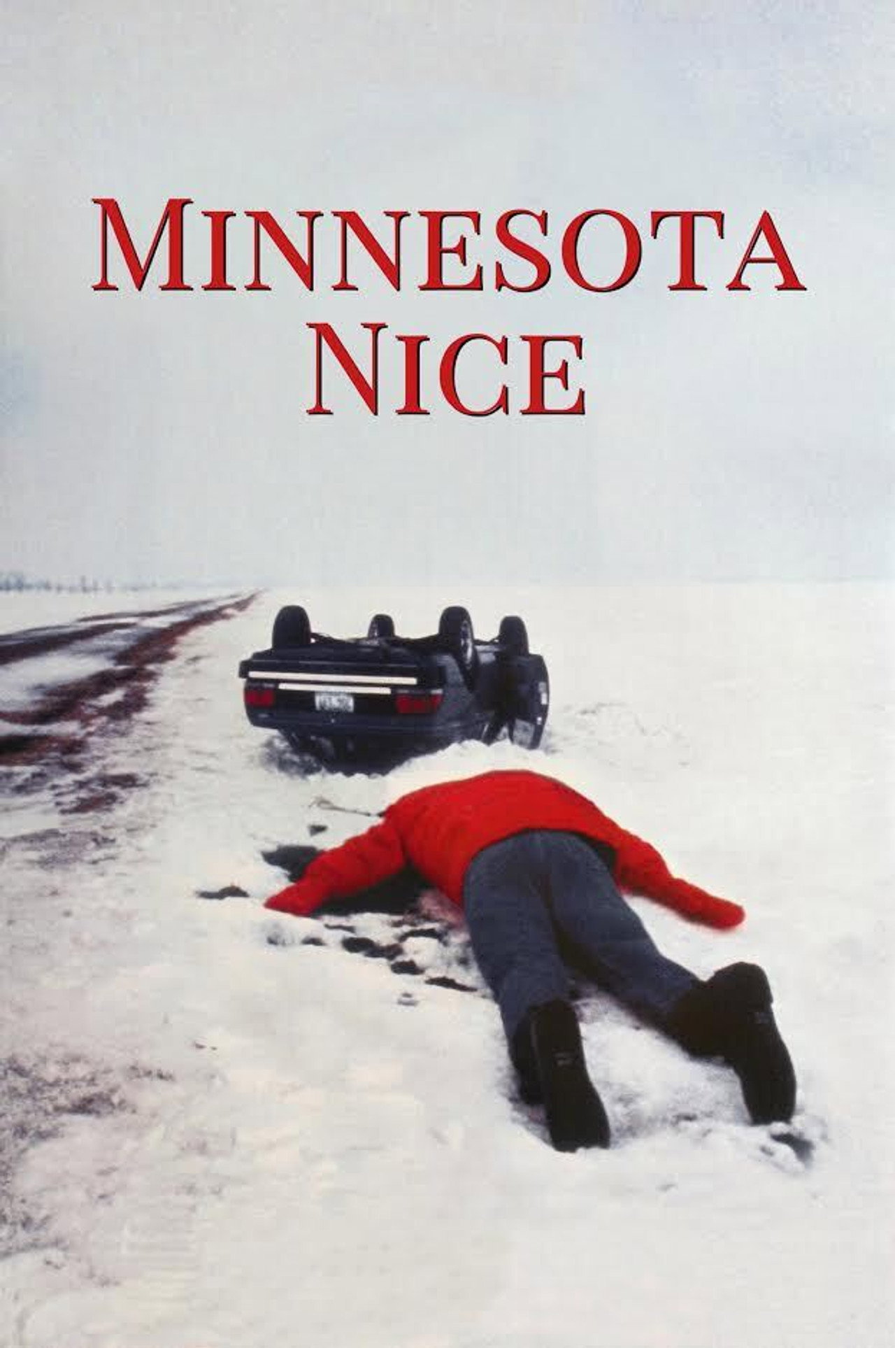 Pôster de Minnesota Nice