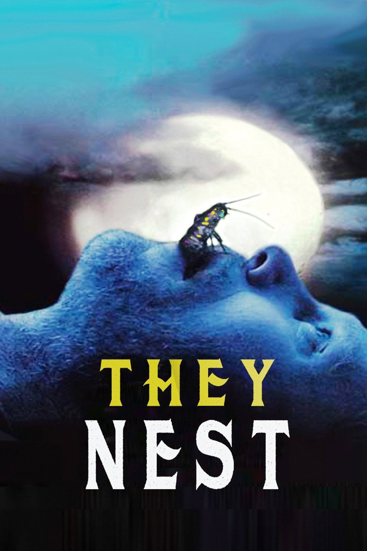 Pôster de They Nest