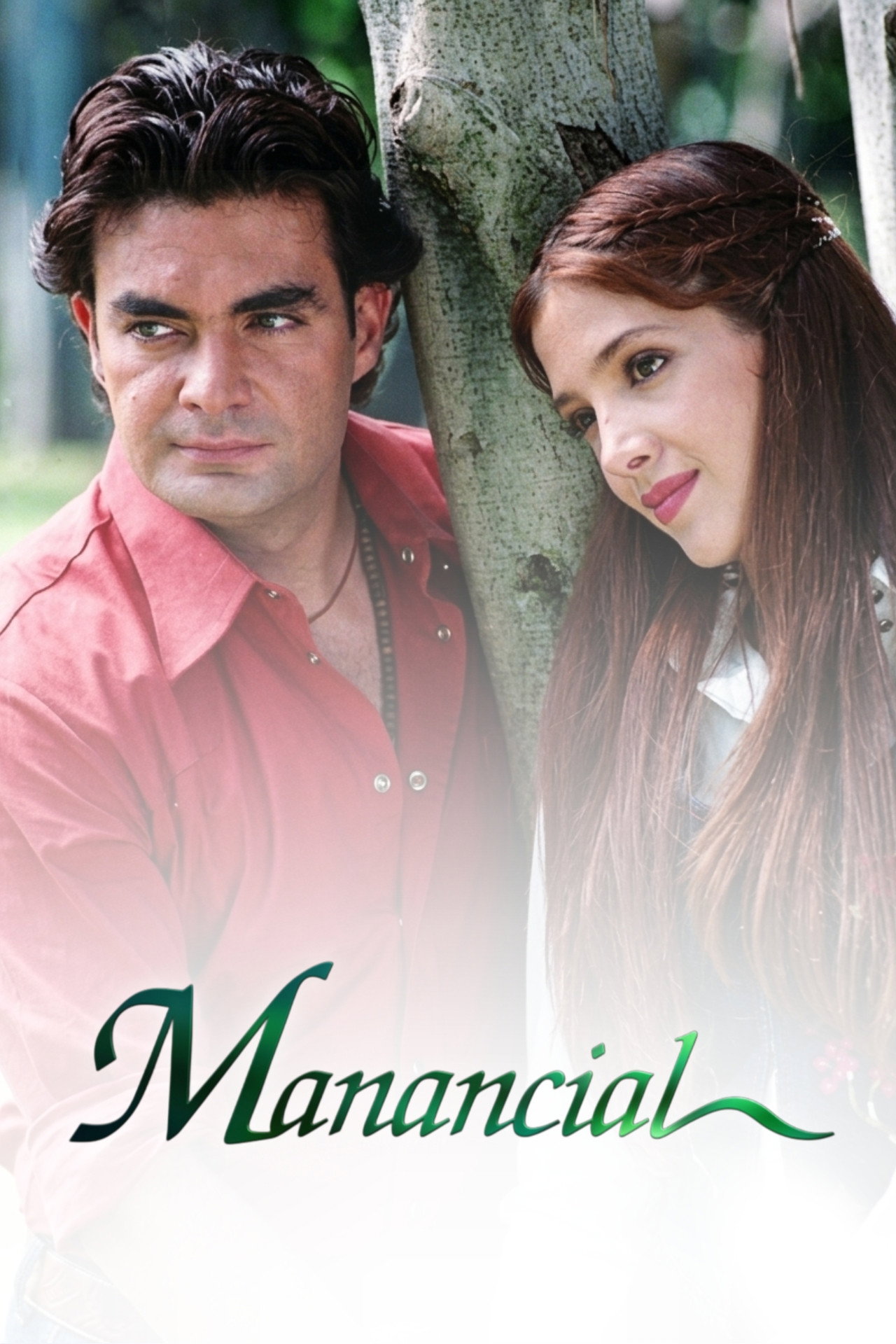 Pôster de Manancial
