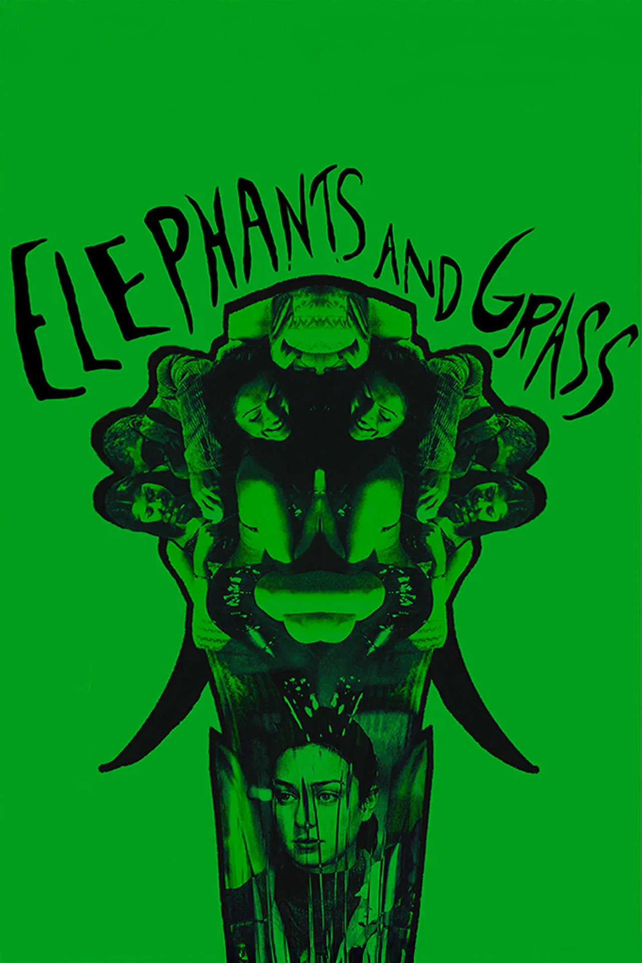 Pôster de Elephants and Grass