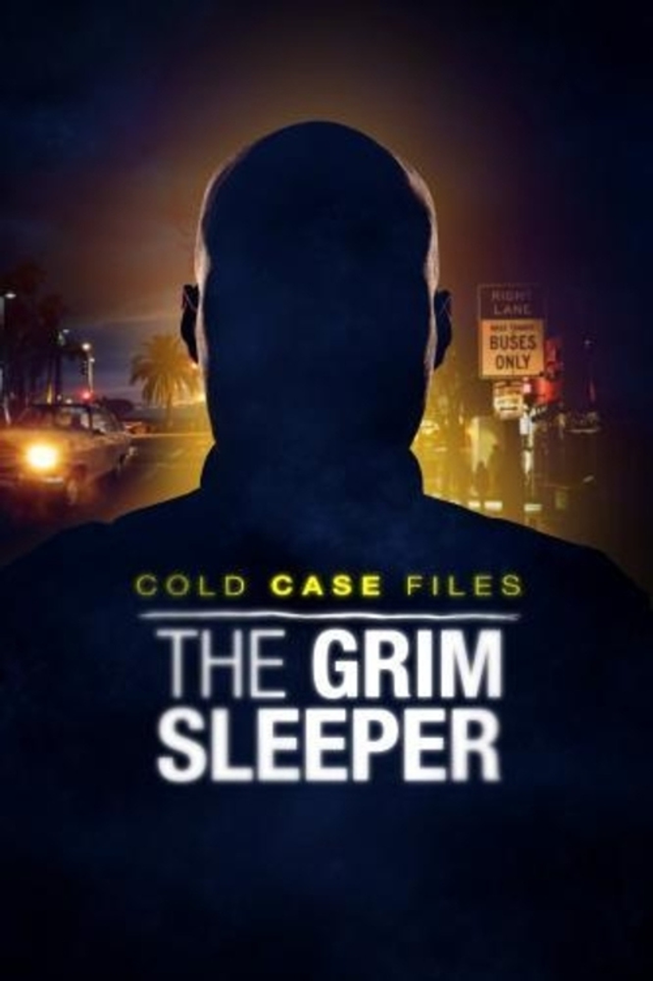 Pôster de Cold Case Files: The Grim Sleeper
