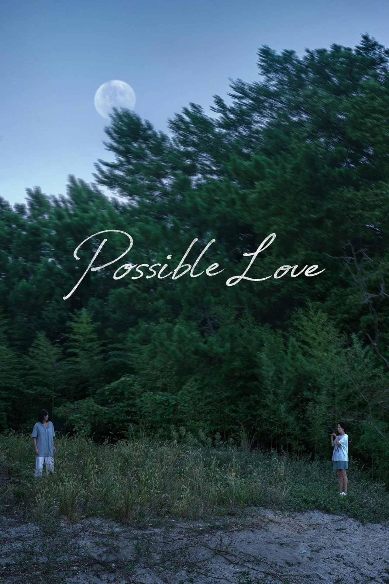 Pôster de Possible Love