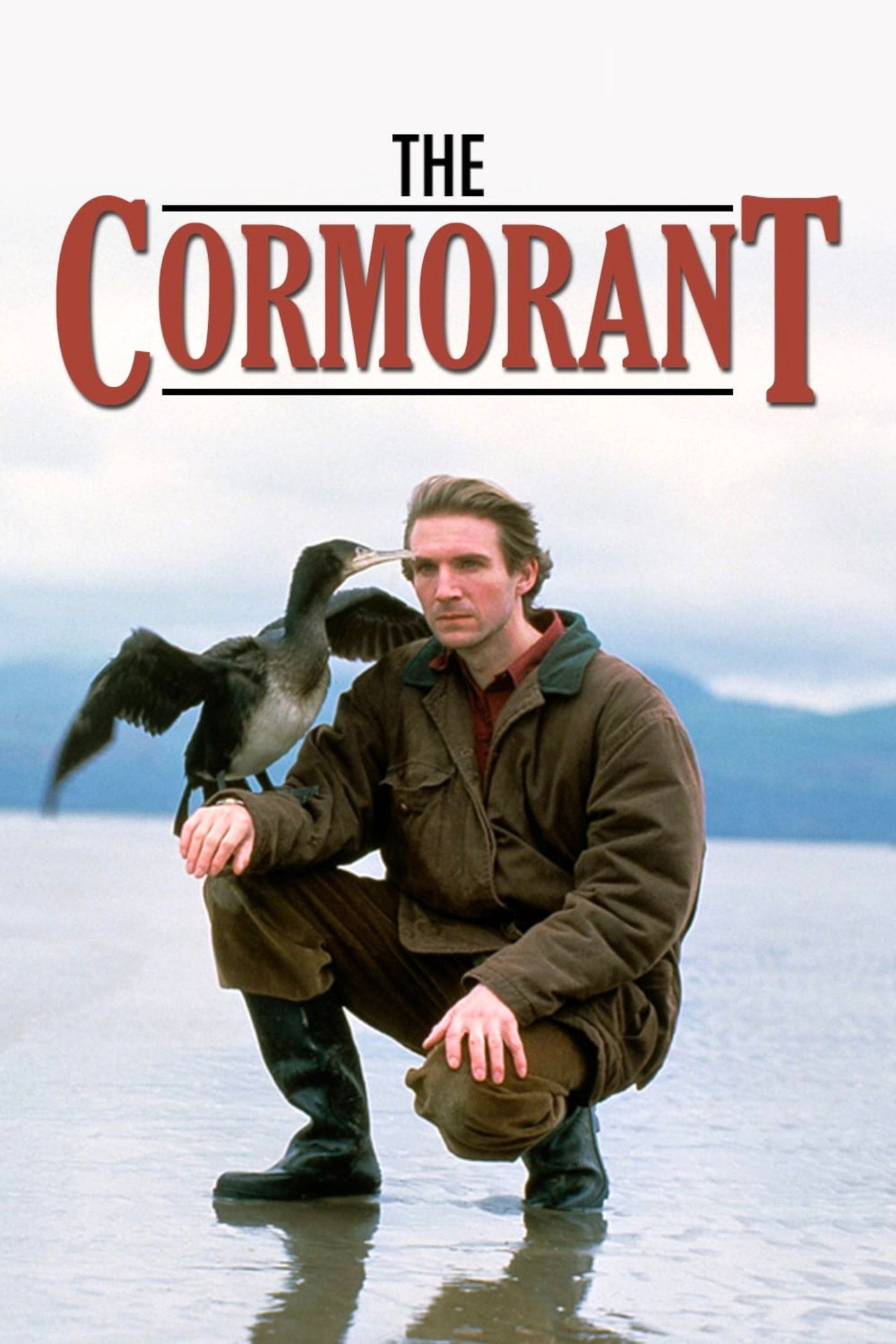 Pôster de The Cormorant