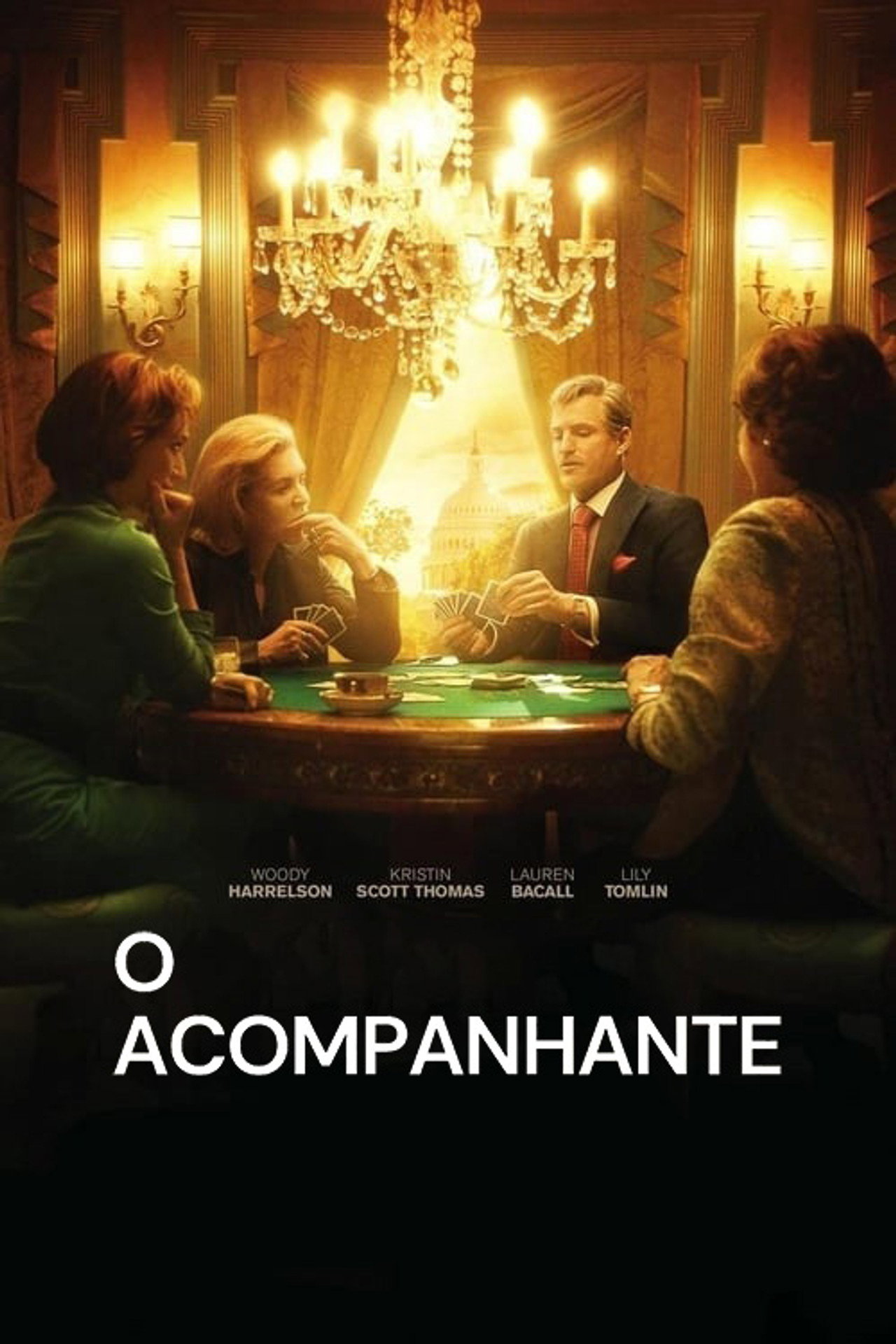 Pôster de O Acompanhante