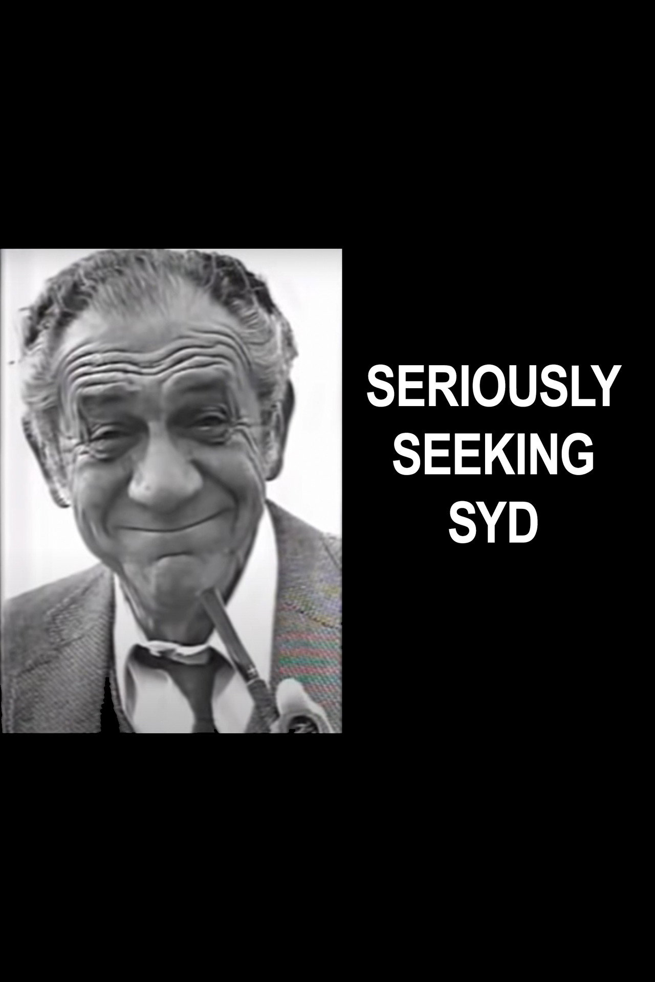 Pôster de Seriously Seeking Sid