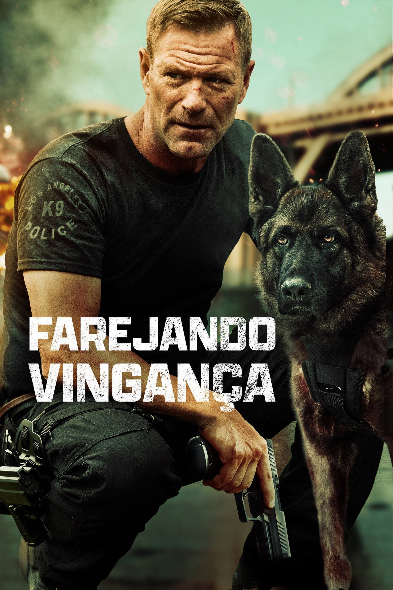 Pôster de Farejando Vingança
