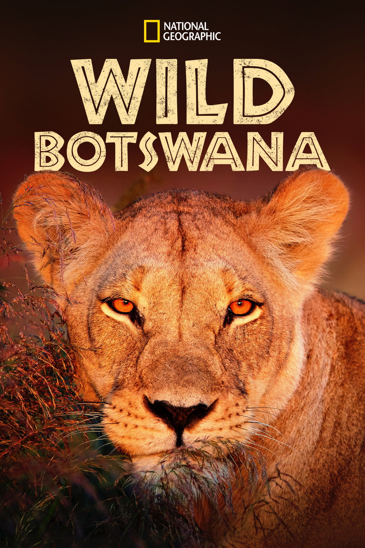 Pôster de Wild Botswana