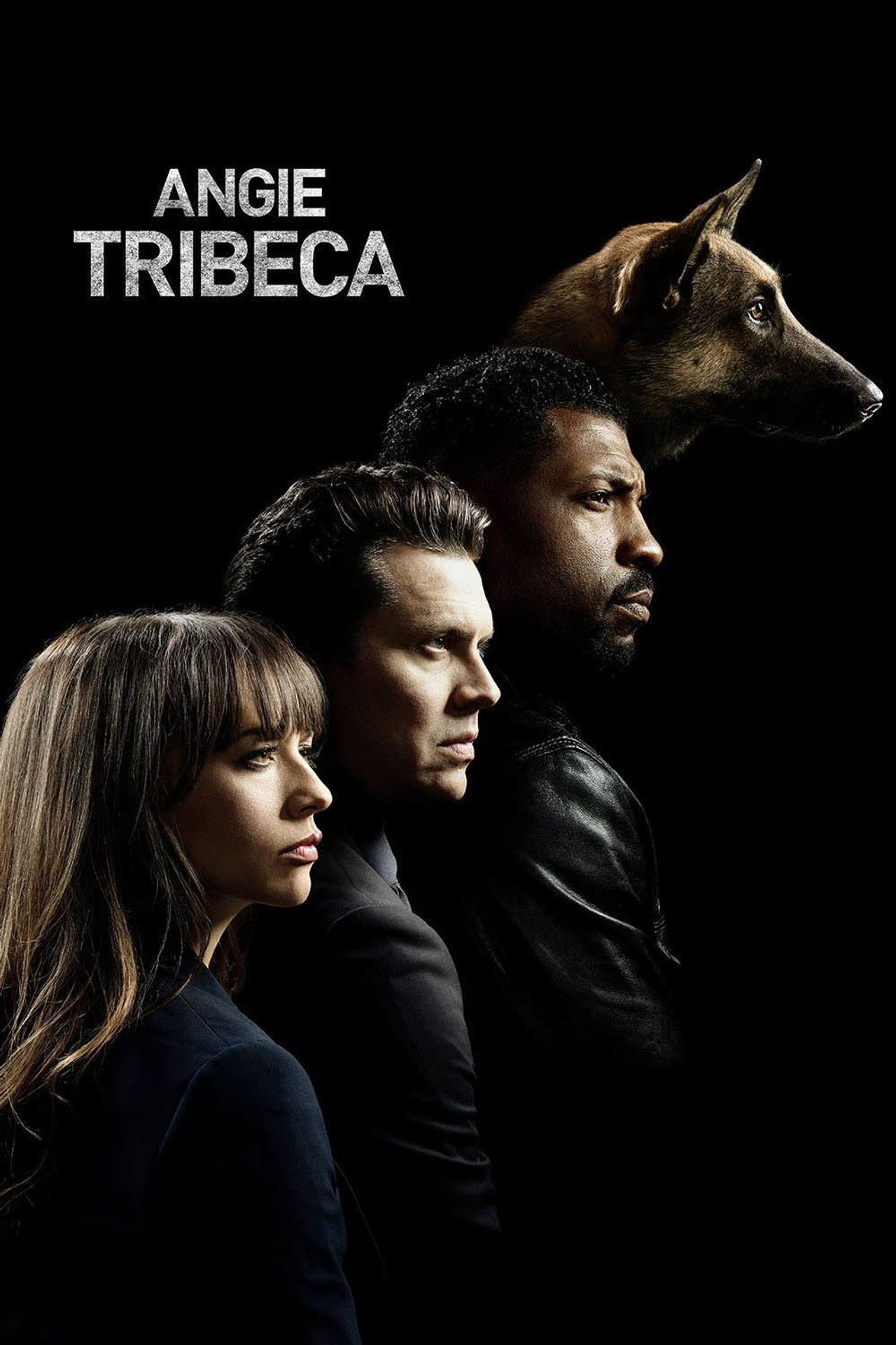 Pôster de Angie Tribeca
